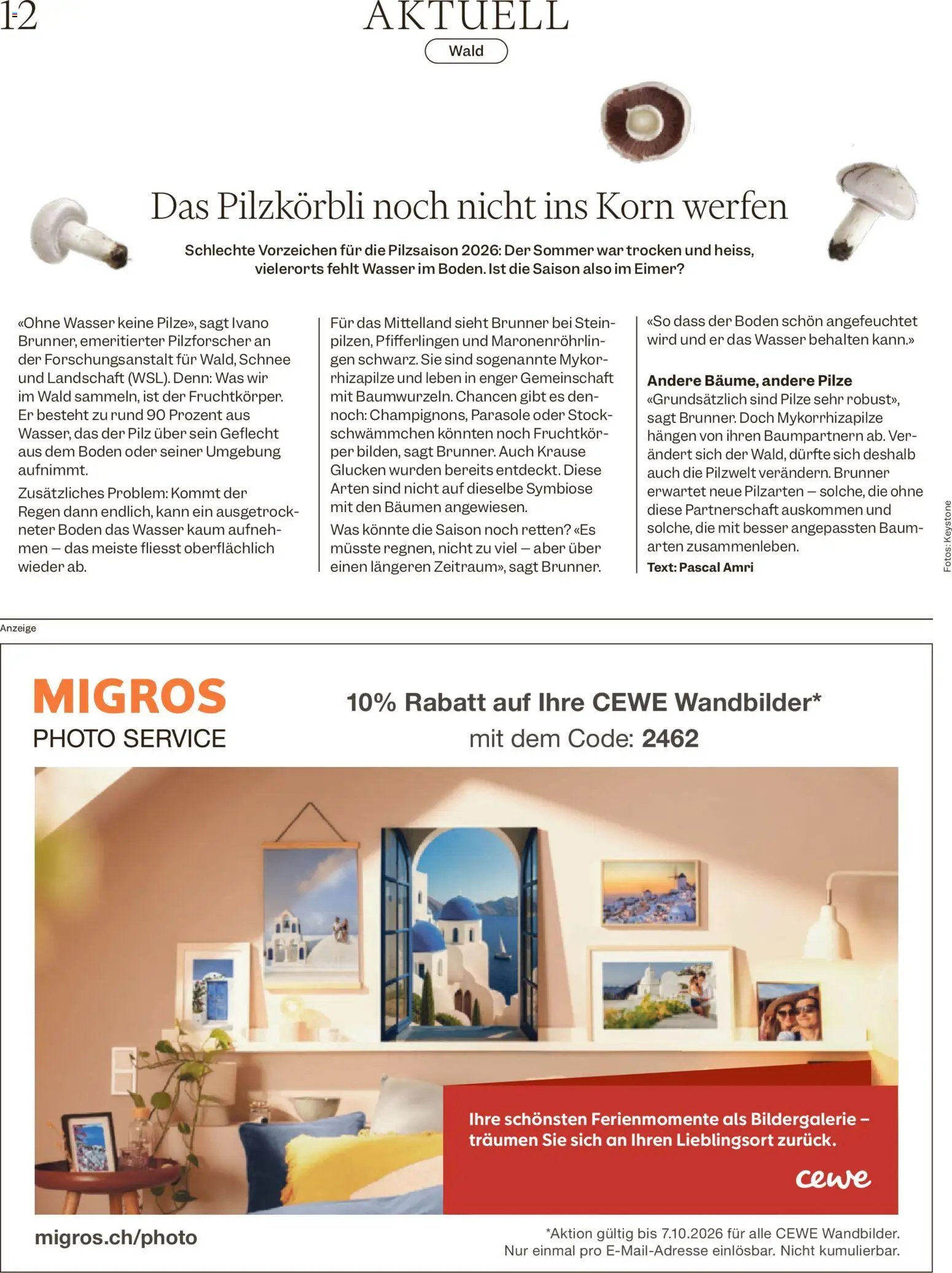 Migros aktionen Magazin