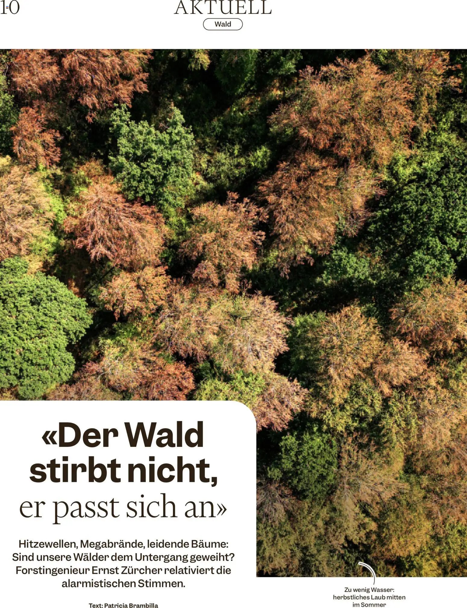 Migros aktionen Magazin