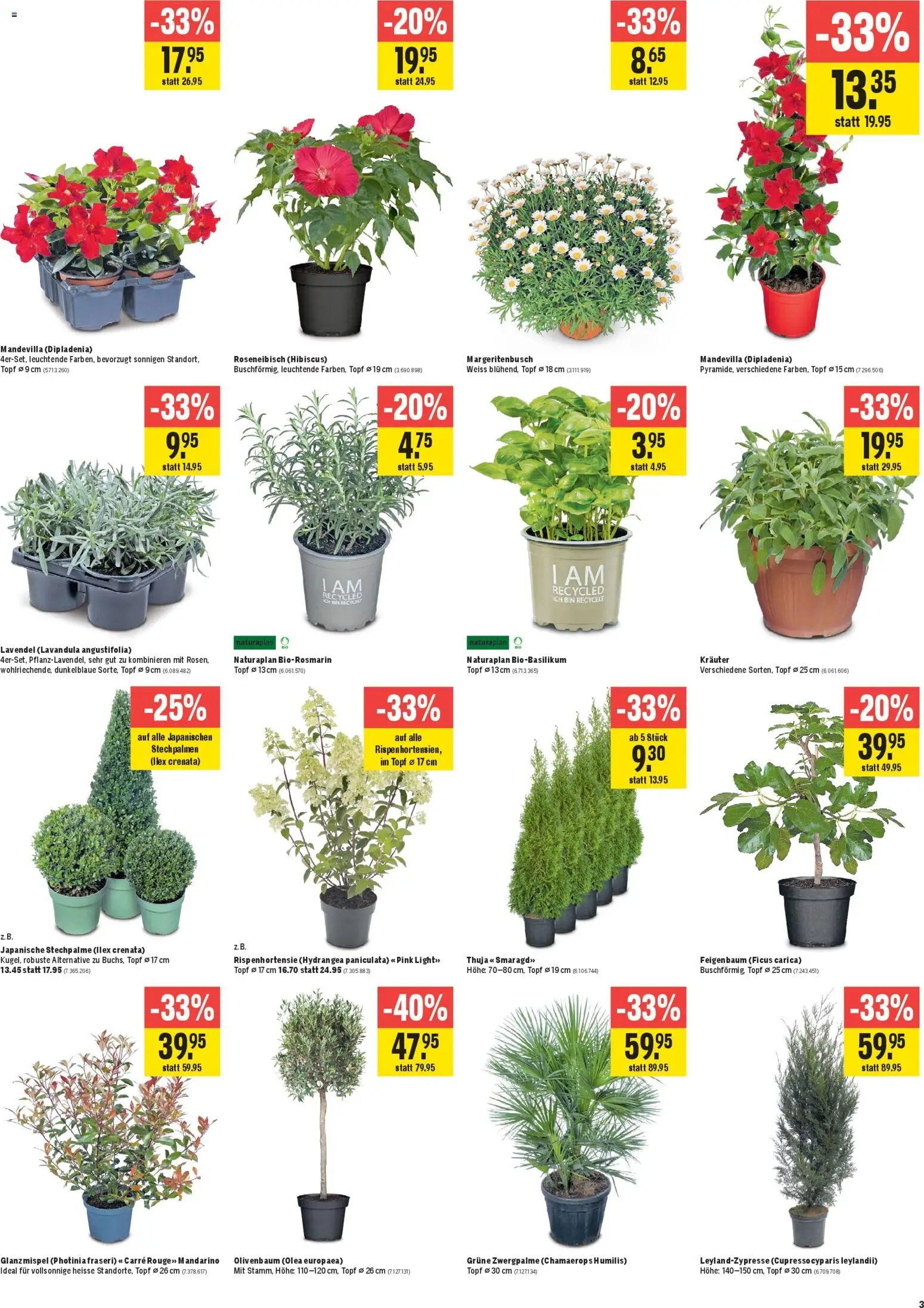 Jumbo aktionen (2026-04-23 - 2026-05-06)