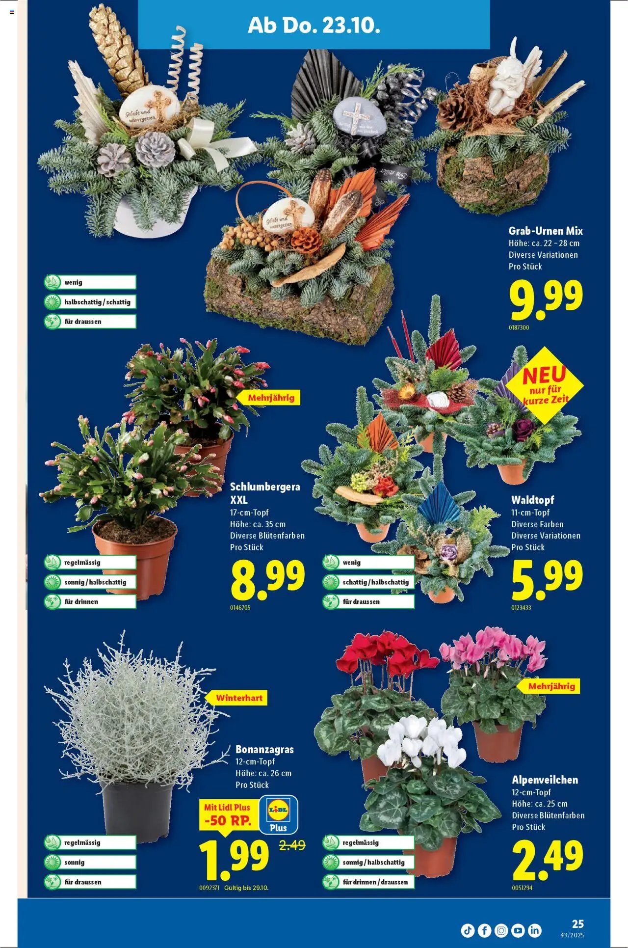 Lidl Aktionen (2025-10-23 - 2025-10-29)