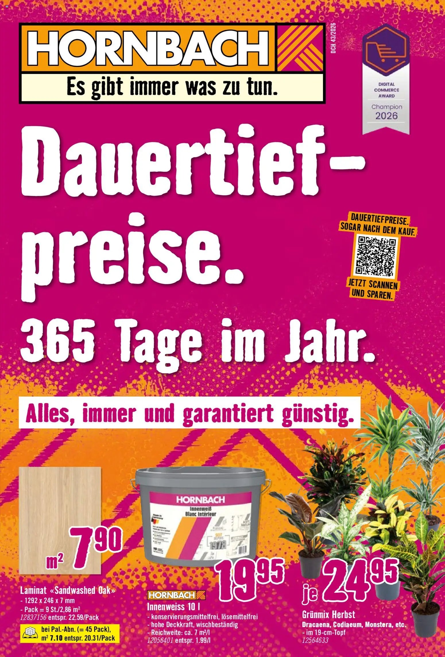 Hornbach aktionen