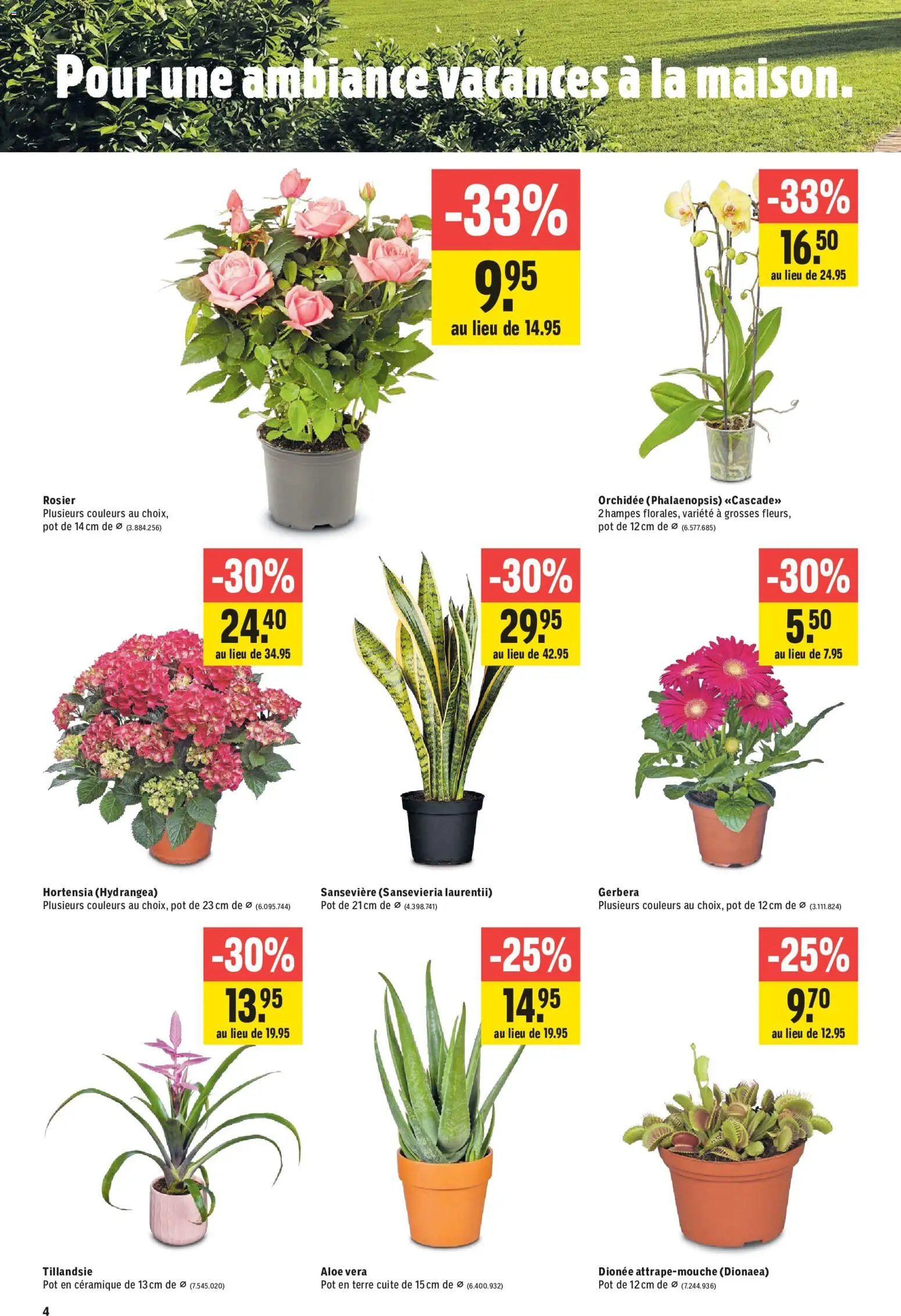 Jumbo aktionen FR