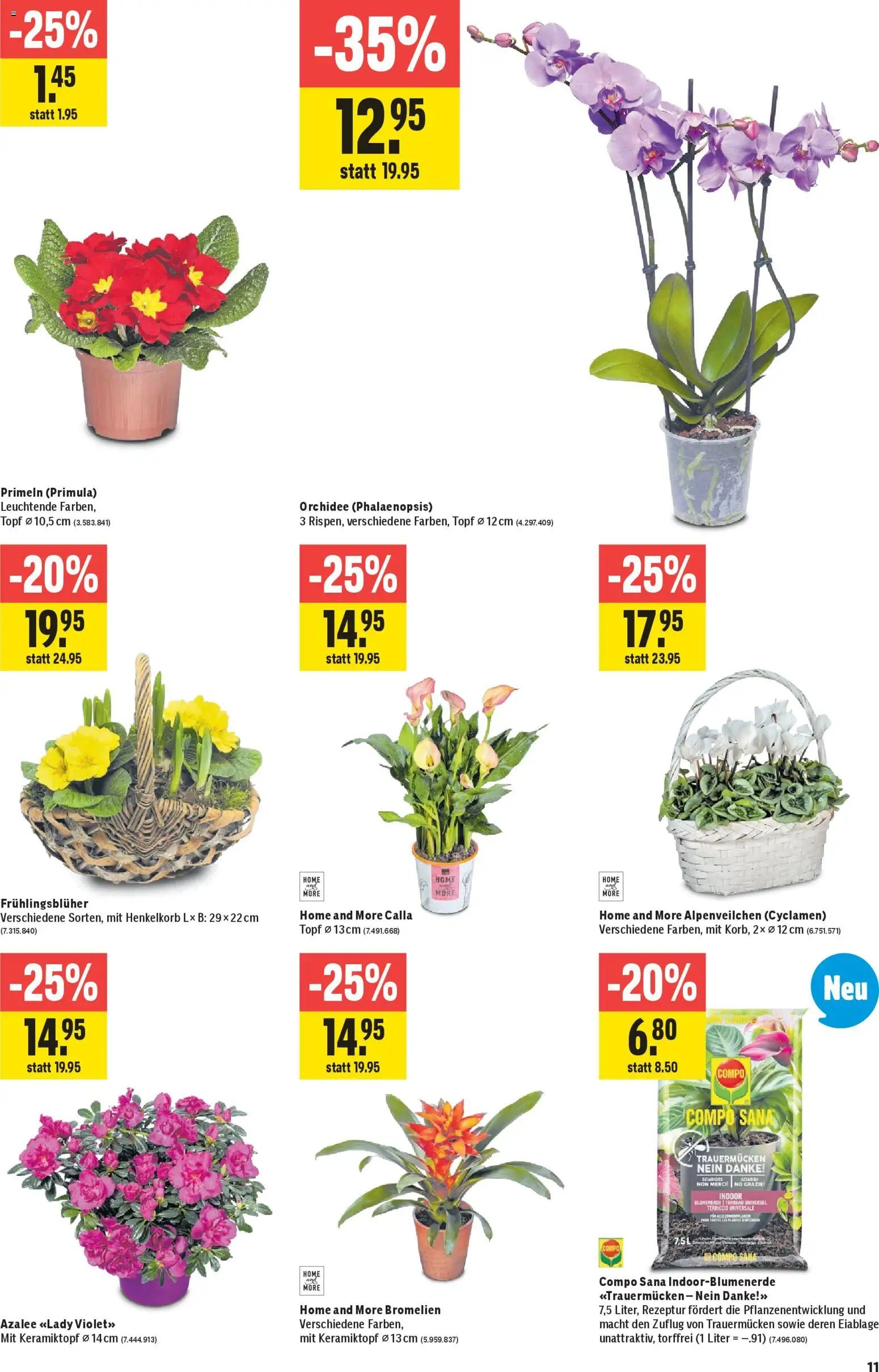 Jumbo Aktionen (2026-01-29 - 2026-02-11) | 11