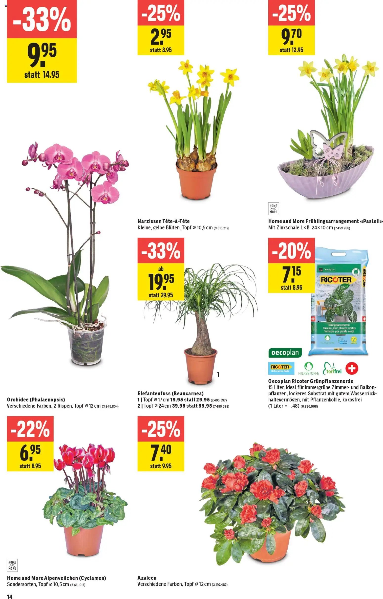 Jumbo Aktionen (2026-01-15 - 2026-01-28) | 14