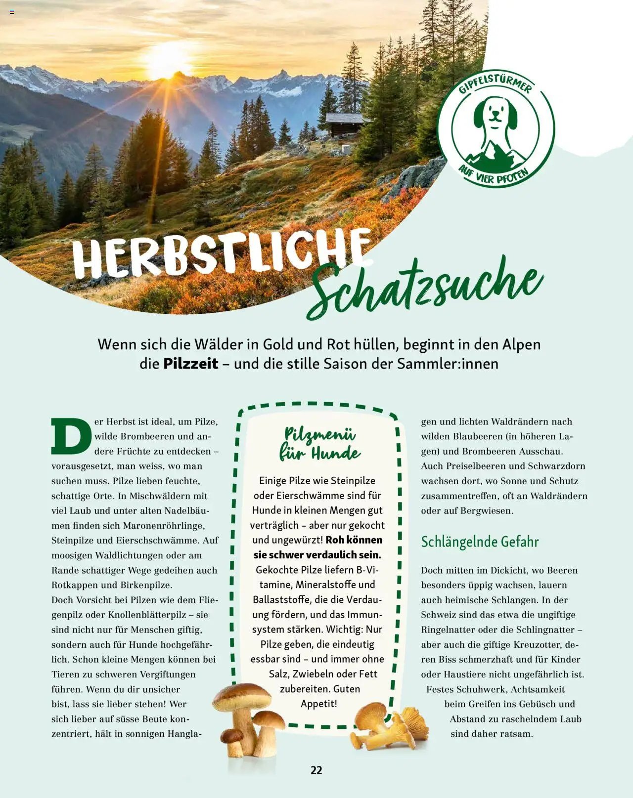 Fressnapf Magazin (2025-09-01 - 2025-10-31)