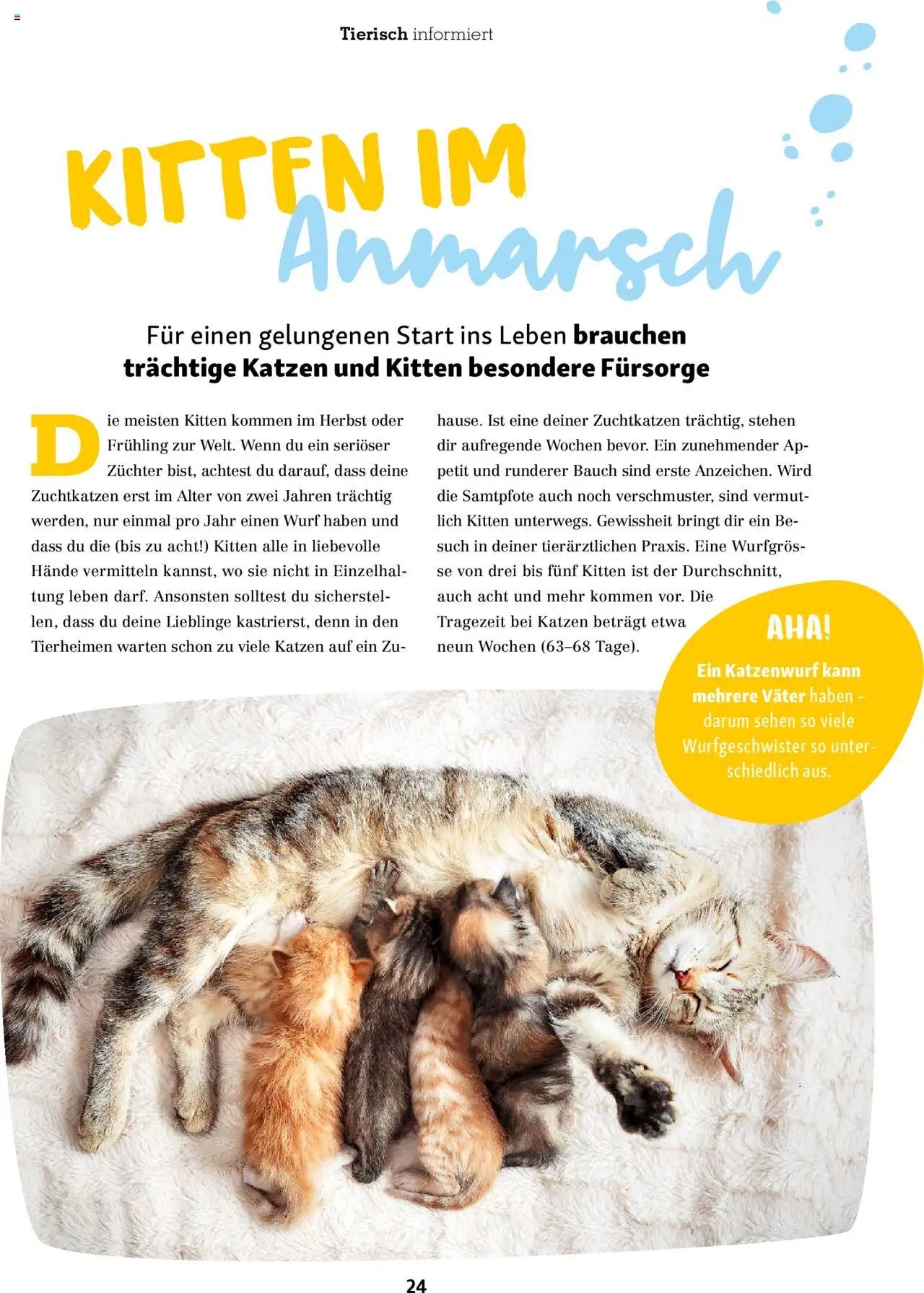 Fressnapf Magazin (2025-09-01 - 2025-10-31)