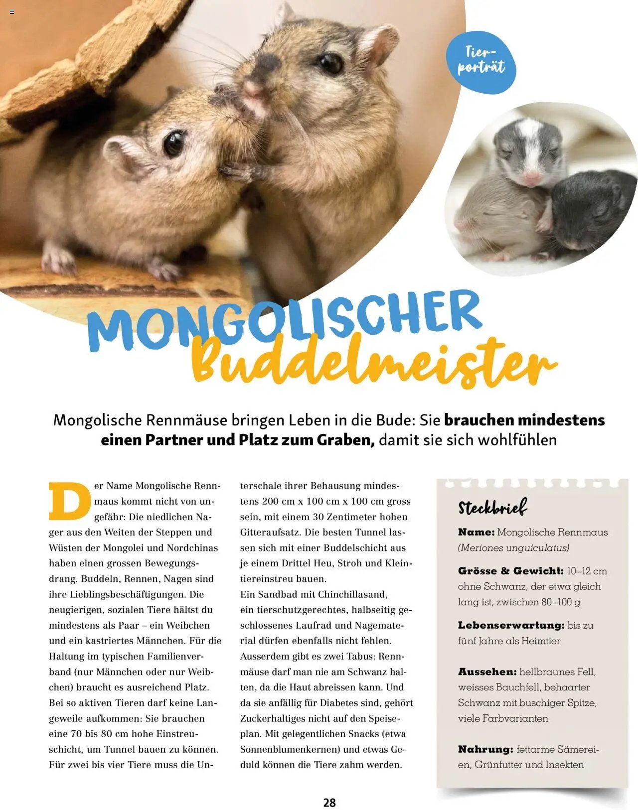 Fressnapf Magazin (2025-09-01 - 2025-10-31)