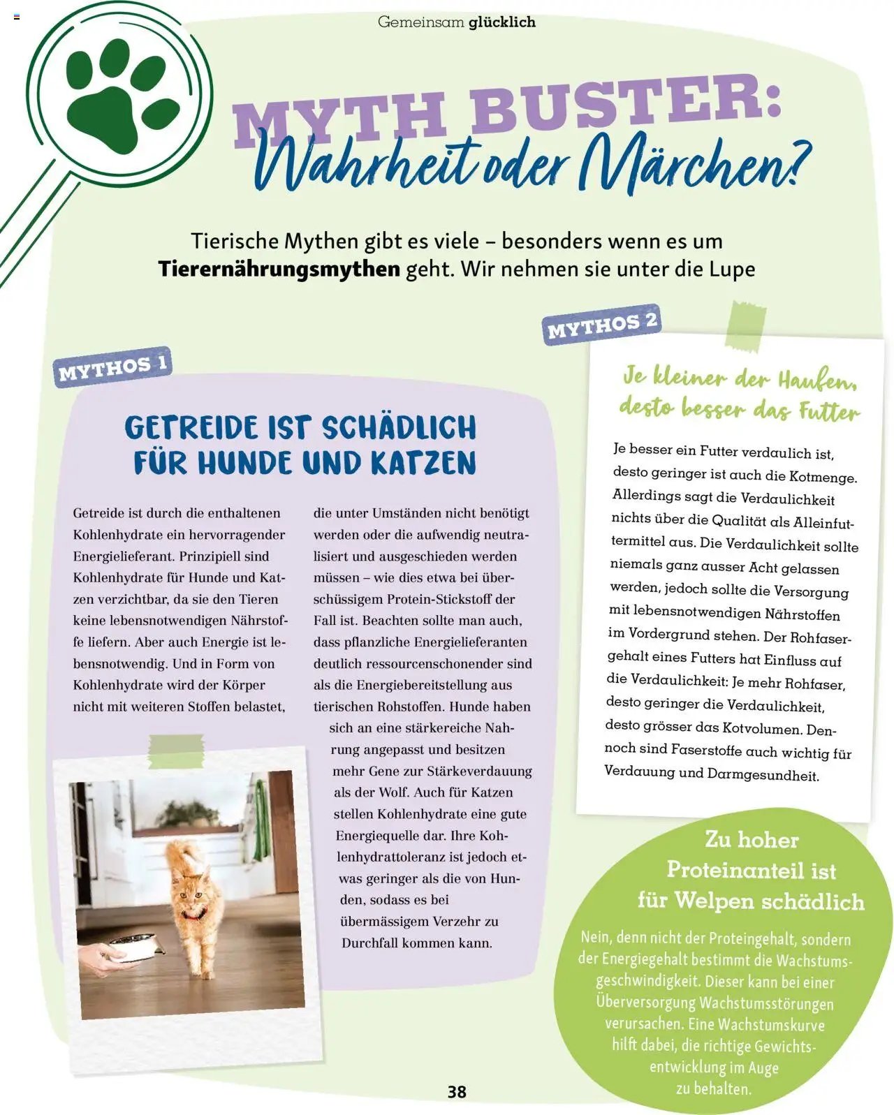 Fressnapf Magazin (2025-09-01 - 2025-10-31)