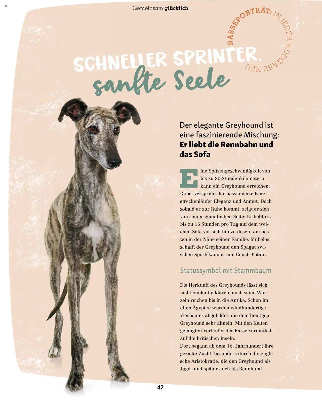 Fressnapf Magazin (2025-09-01 - 2025-10-31)