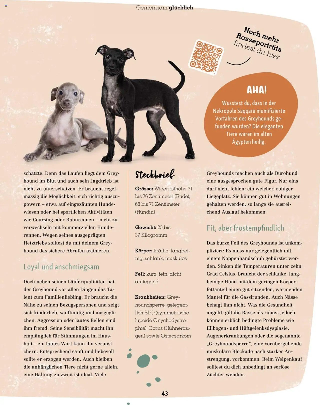 Fressnapf Magazin (2025-09-01 - 2025-10-31)