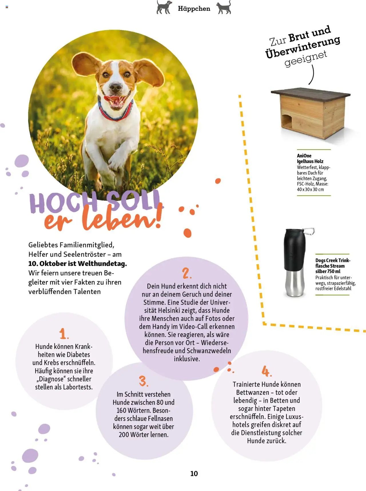 Fressnapf Magazin (2025-09-01 - 2025-10-31)