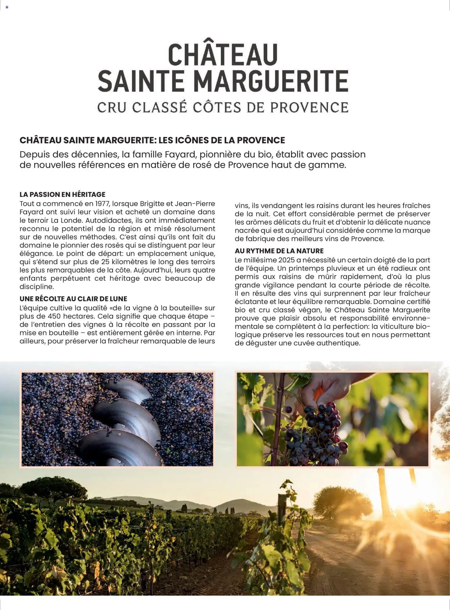 Manor aktionen Wine FR (2026-04-12 - 2026-05-10) | 24