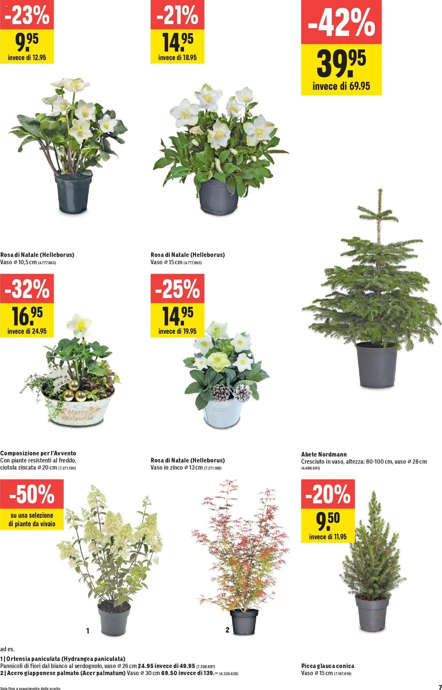 Jumbo Aktionen IT (2025-11-06 - 2025-11-19) | 7