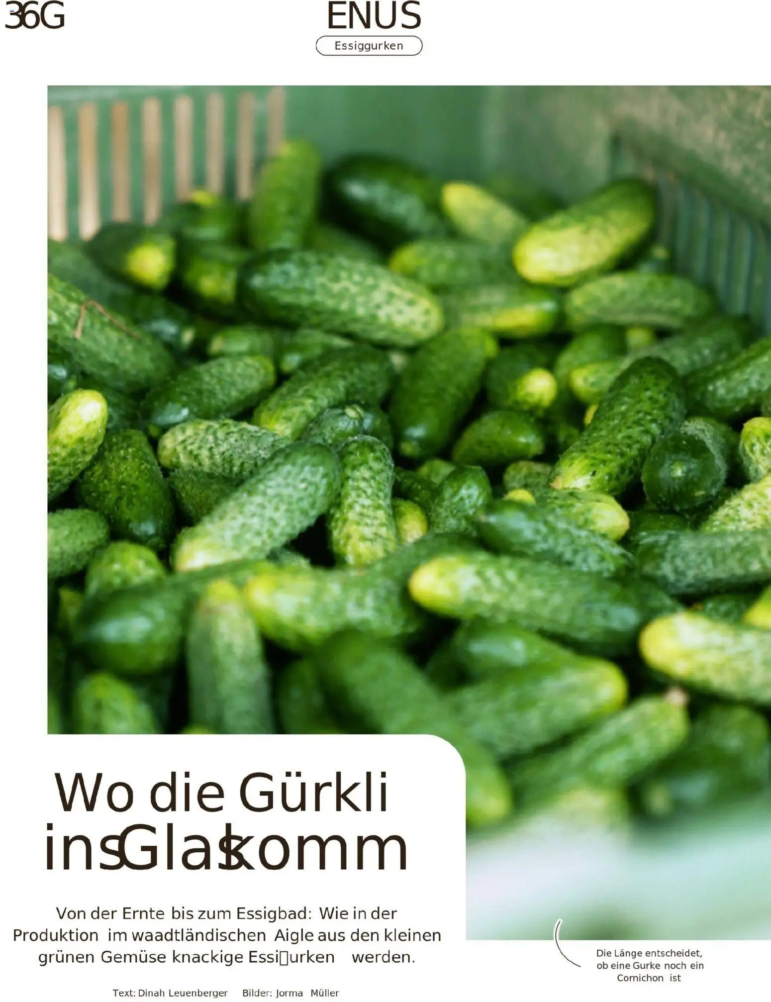 Migros Migros-Magazin-44-2025-d-AA (2025-10-27 - 2025-11-03)
