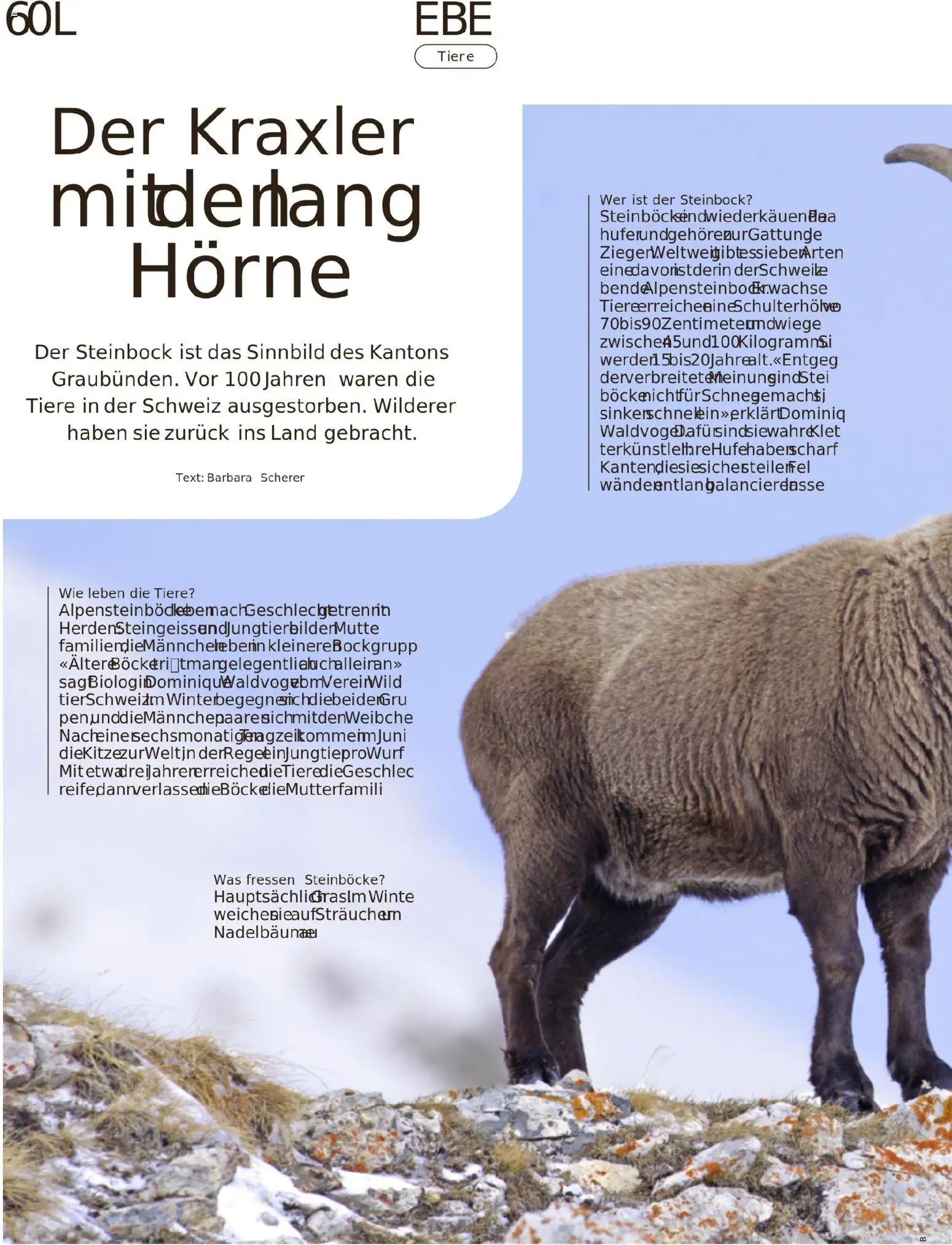 Migros Migros-Magazin-44-2025-d-AA (2025-10-27 - 2025-11-03)