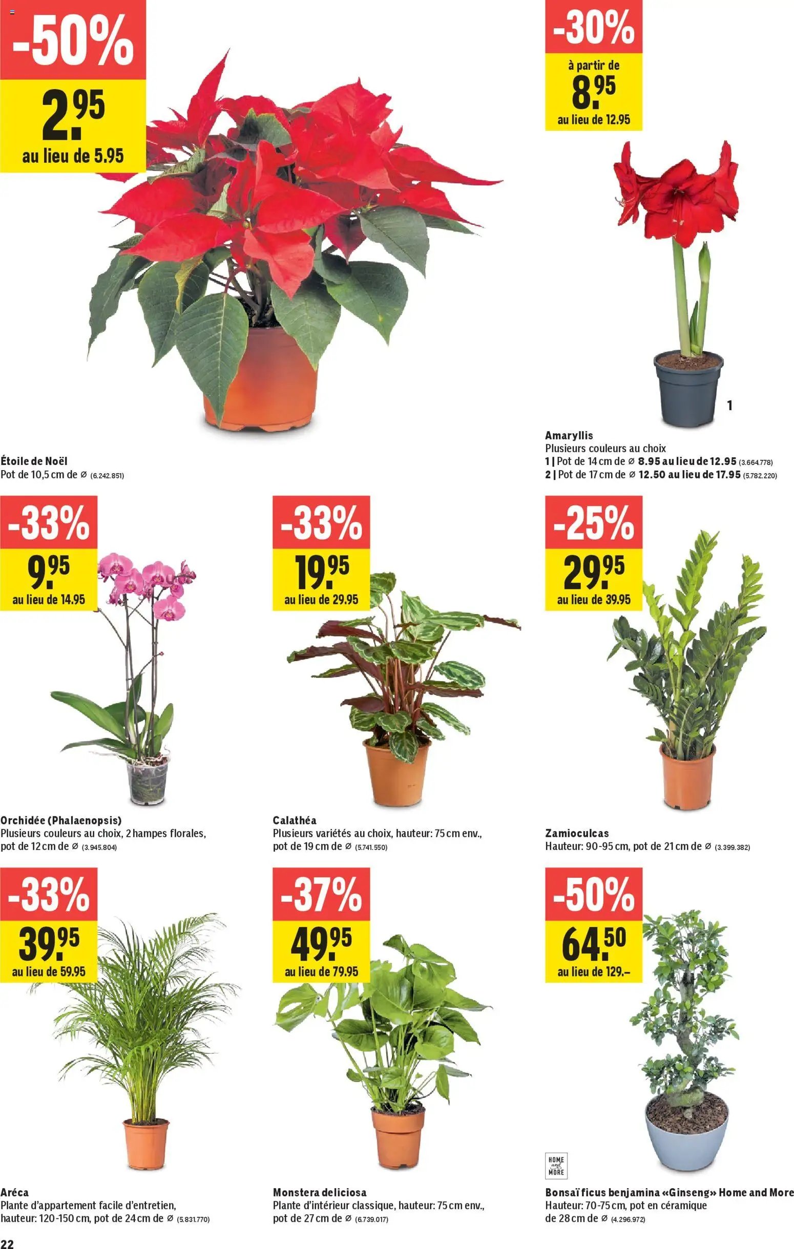 Jumbo Aktionen FR (2025-10-23 - 2025-11-05) | 22