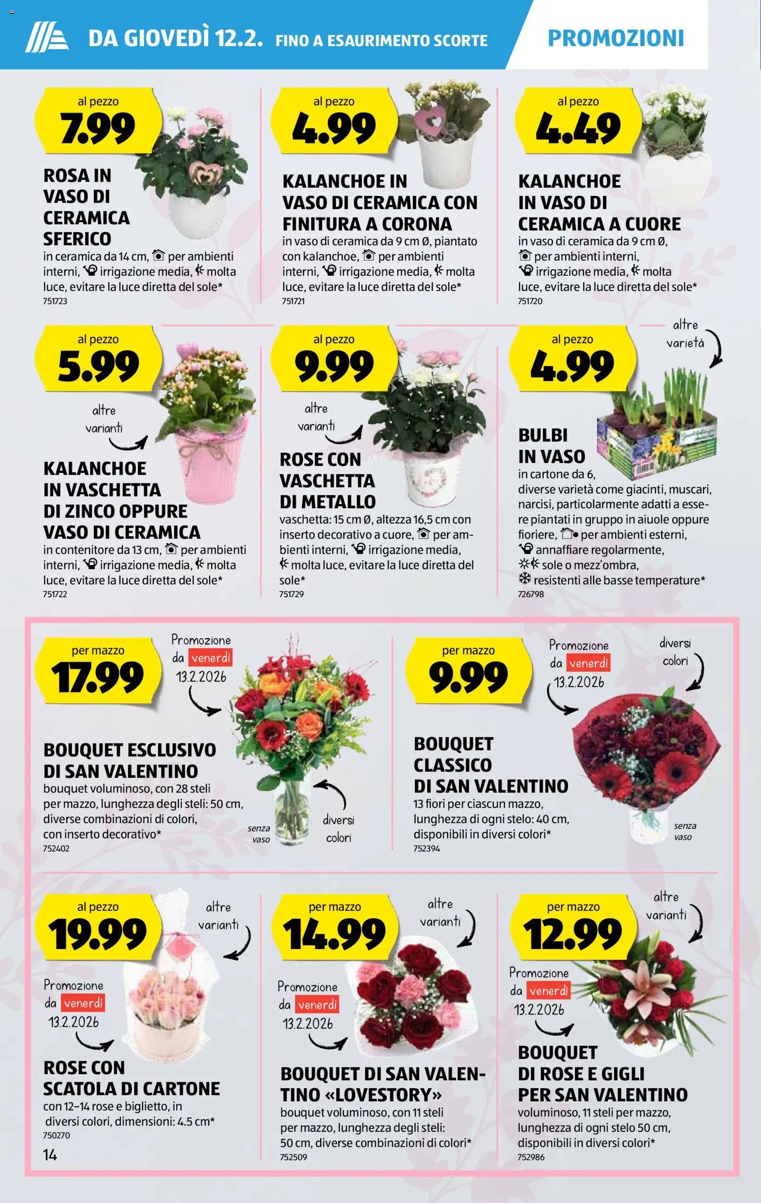 Aldi Aktionen (2026-02-12 - 2026-02-18)