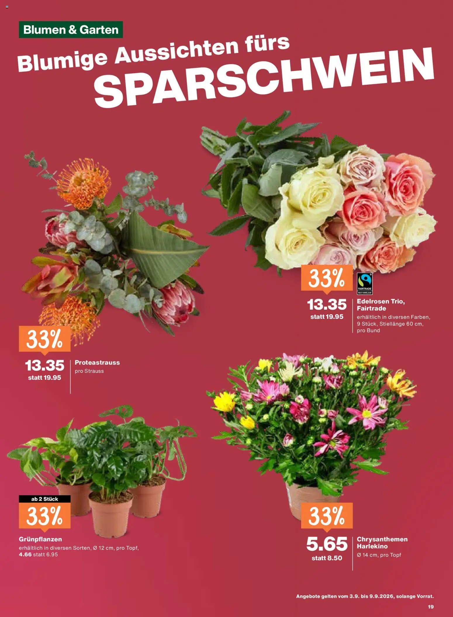 Migros aktionen