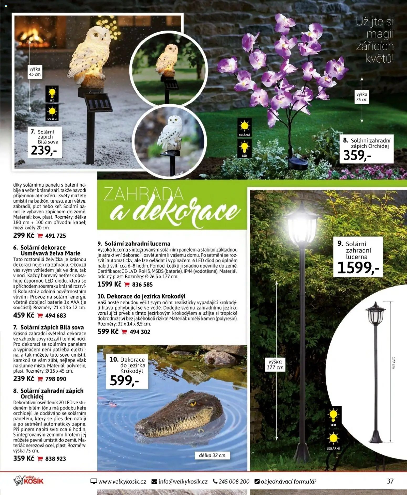 Velký Košík katalog únor 2026 (2026-02-01 - 2026-02-28)