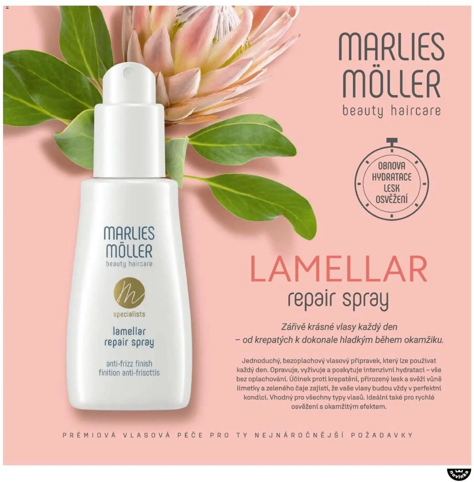 FAnn katalog Vánoce 2025 (2025-10-30 - 2025-12-31)