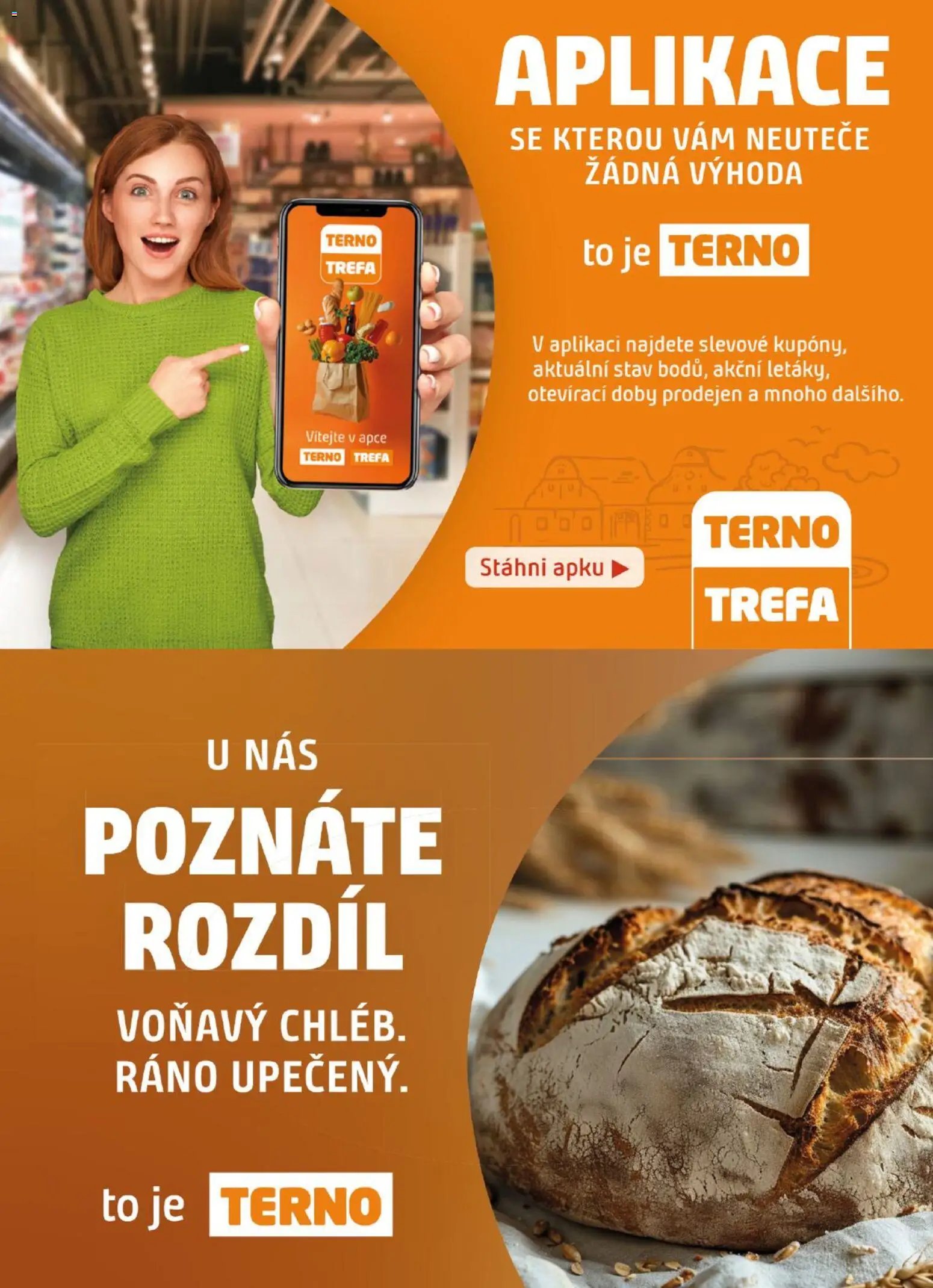 Terno leták