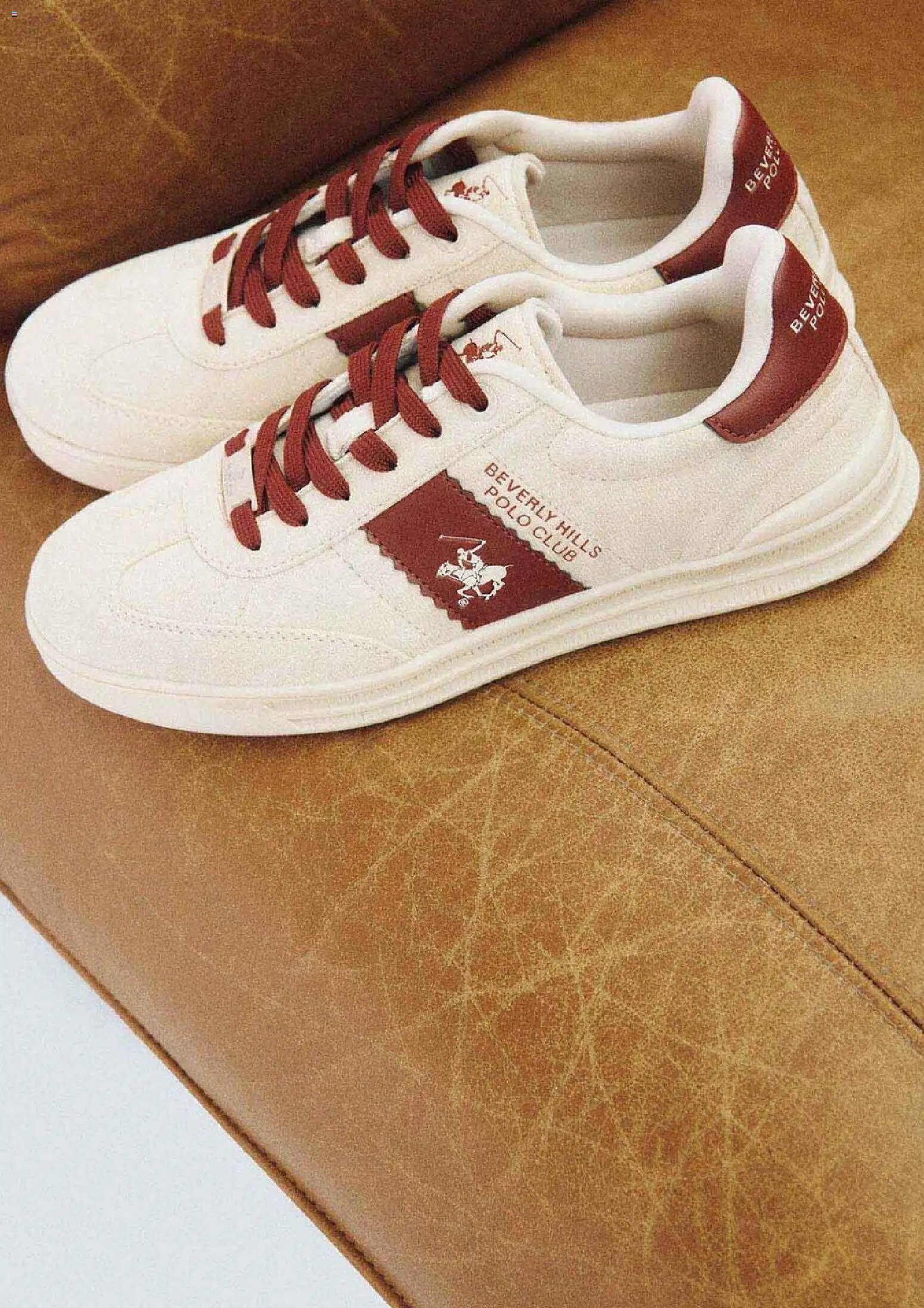 CCC nabídka (2025-11-14 - 2025-12-11)