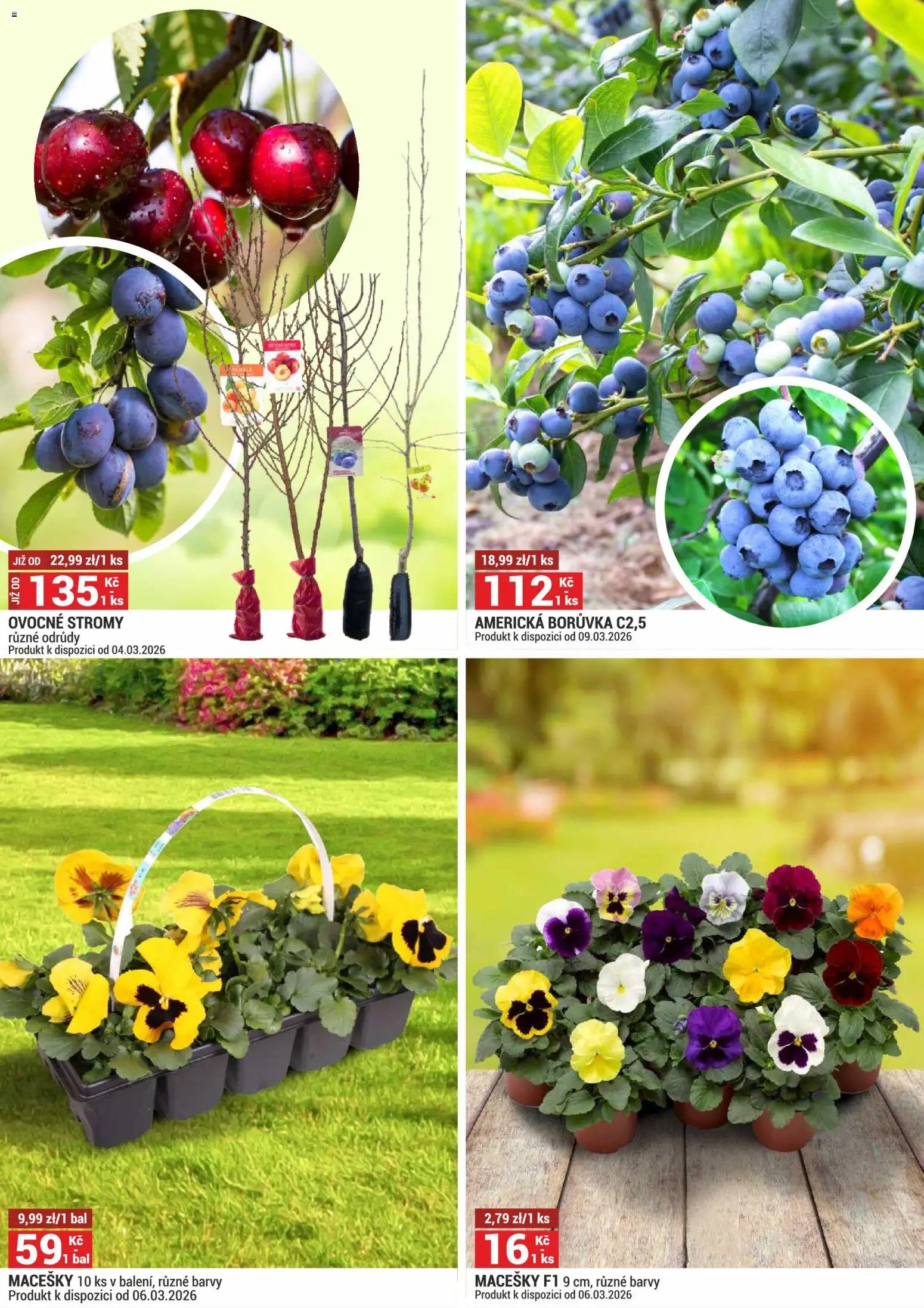 Merkury Market leták (2026-03-01 - 2026-03-31)