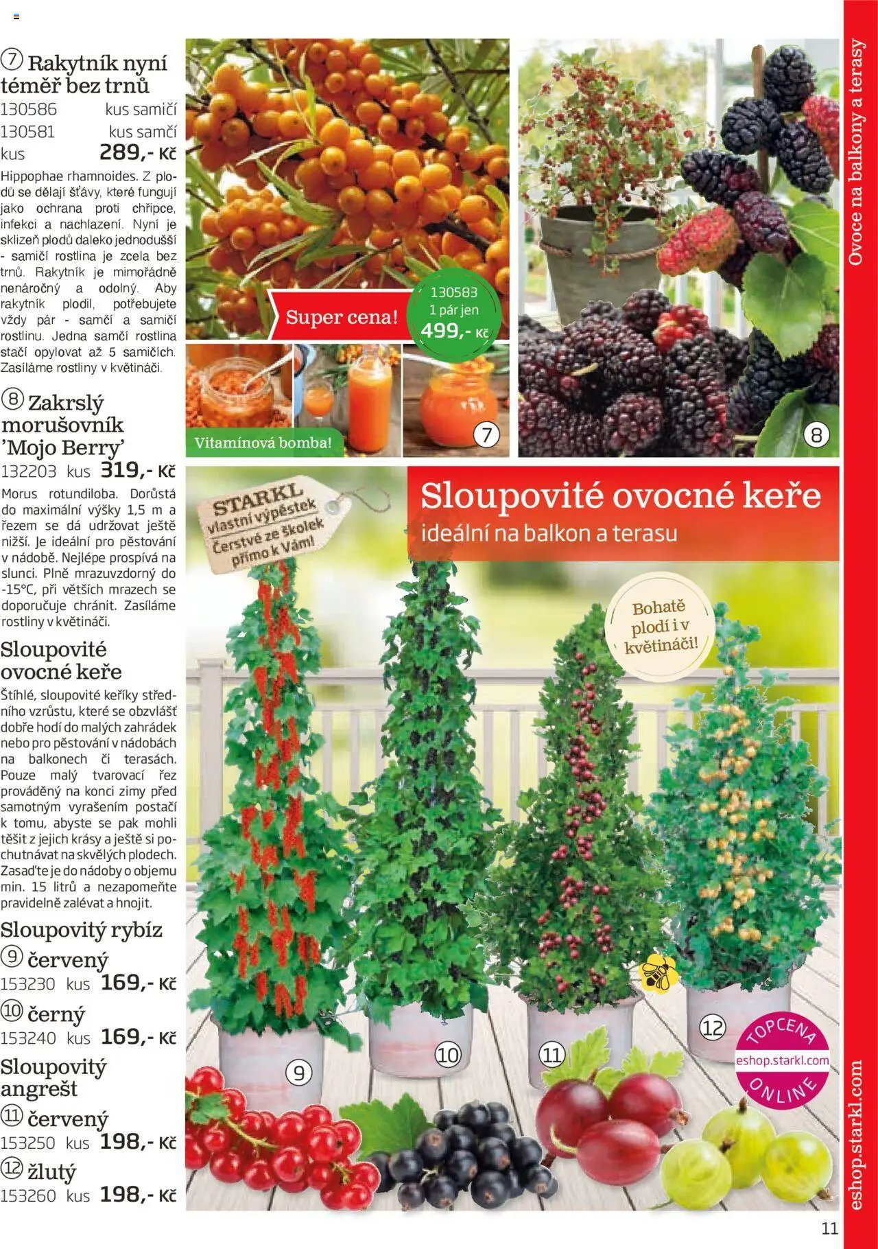 Starkl katalog podzim 2025 (2025-08-01 - 2025-11-30)