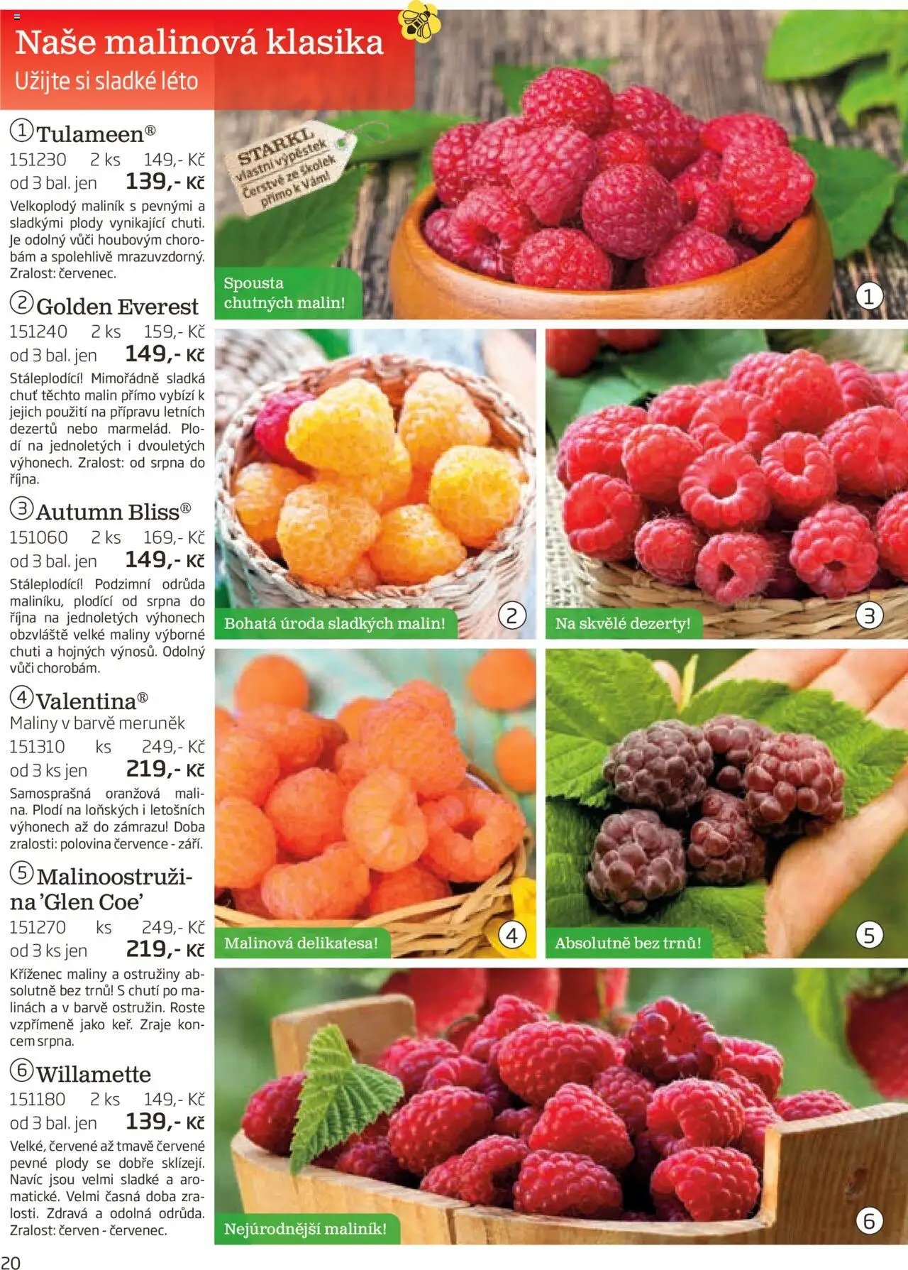 Starkl katalog podzim 2025 (2025-08-01 - 2025-11-30)