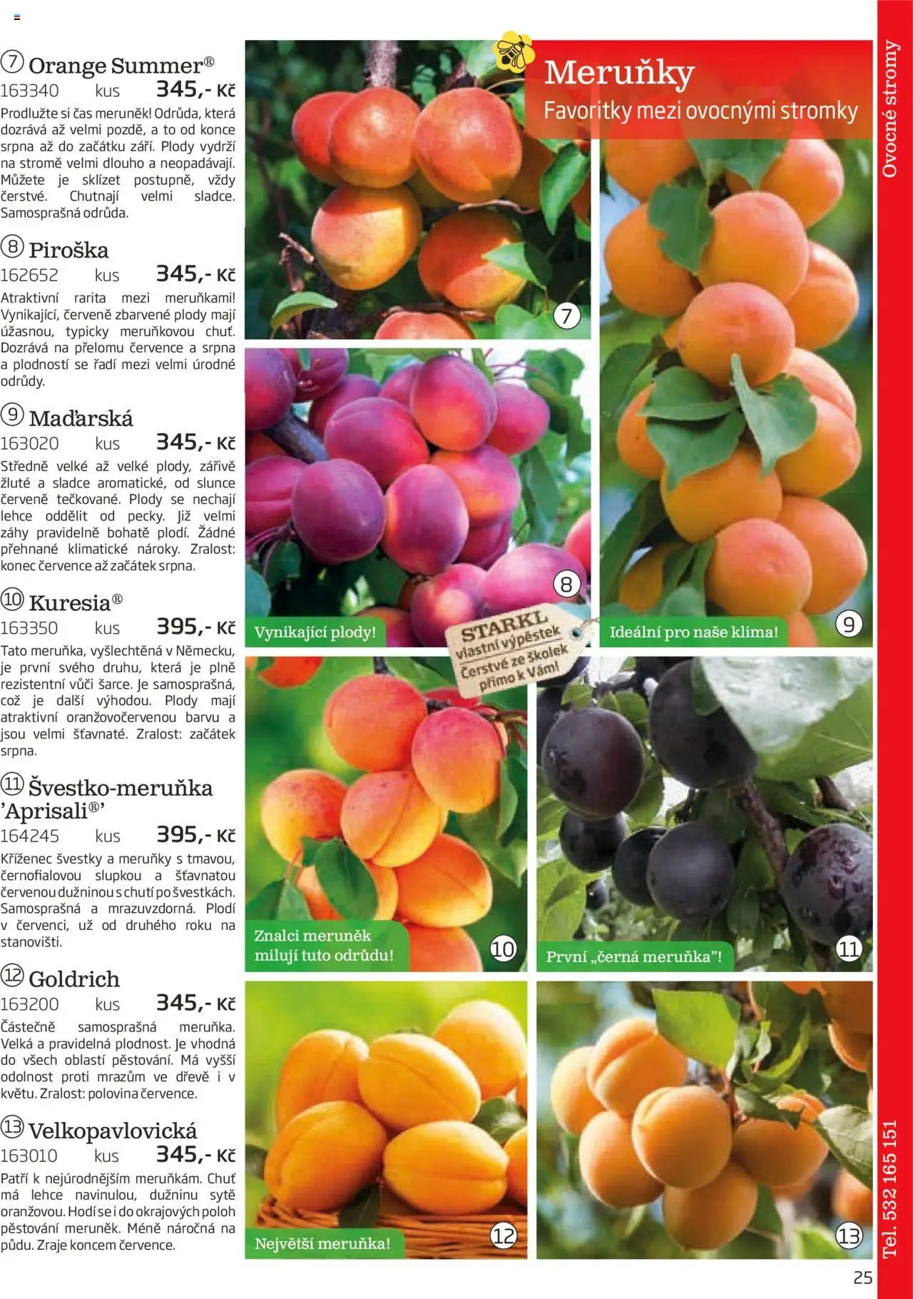 Starkl katalog podzim 2025 (2025-08-01 - 2025-11-30)