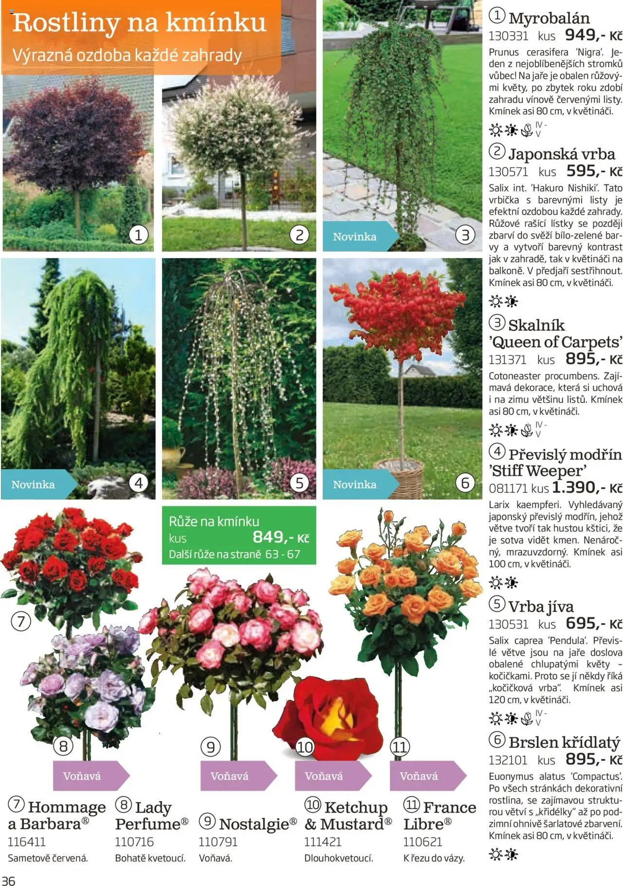 Starkl katalog podzim 2025 (2025-08-01 - 2025-11-30)