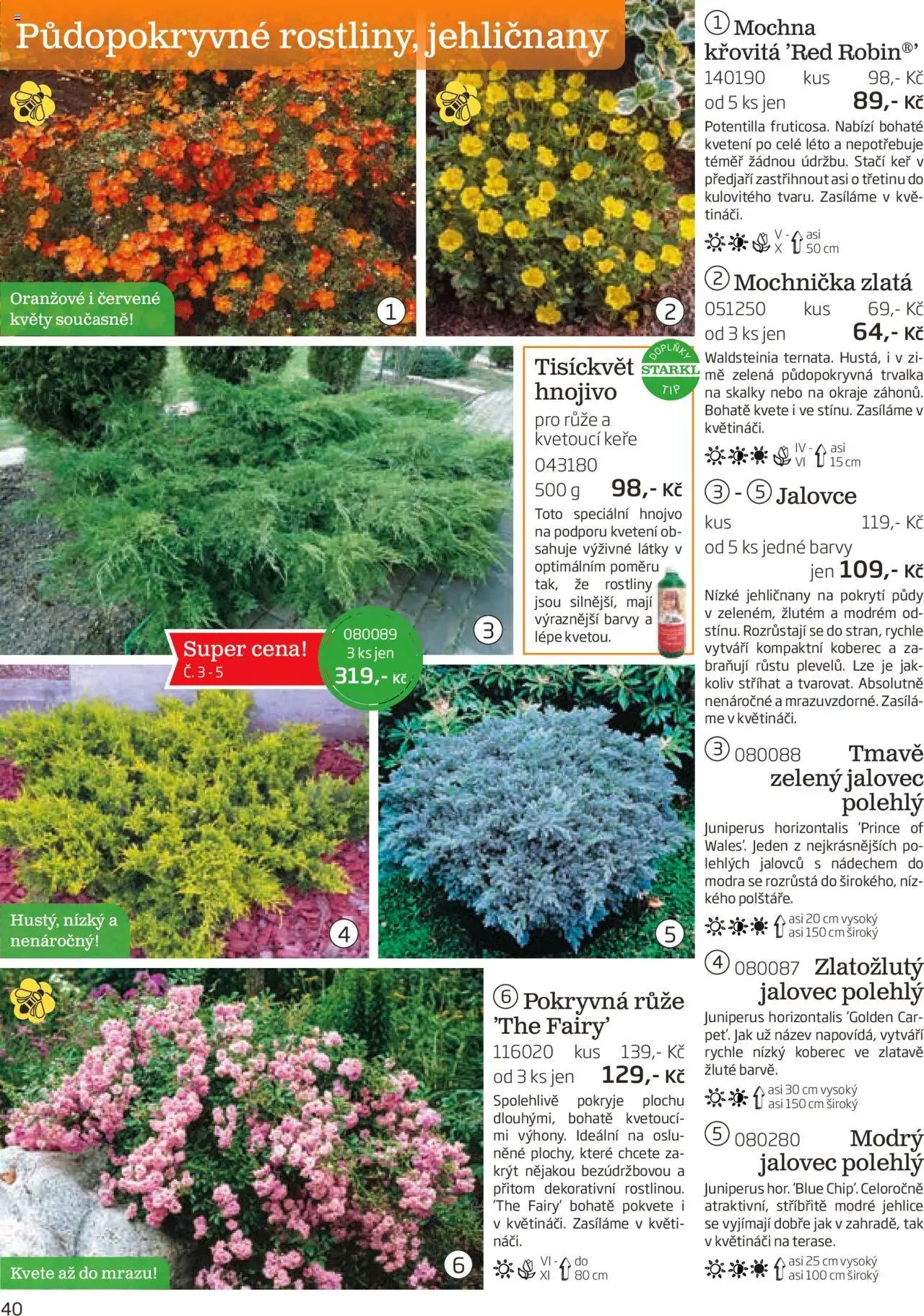 Starkl katalog podzim 2025 (2025-08-01 - 2025-11-30)