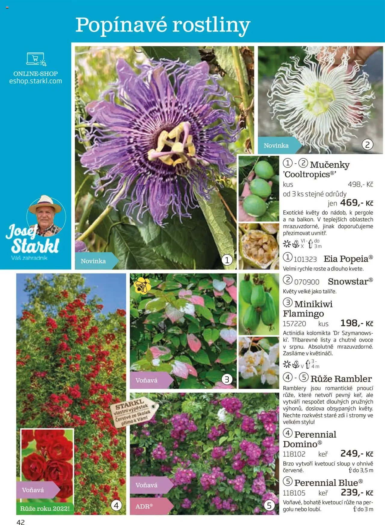 Starkl katalog podzim 2025 (2025-08-01 - 2025-11-30)