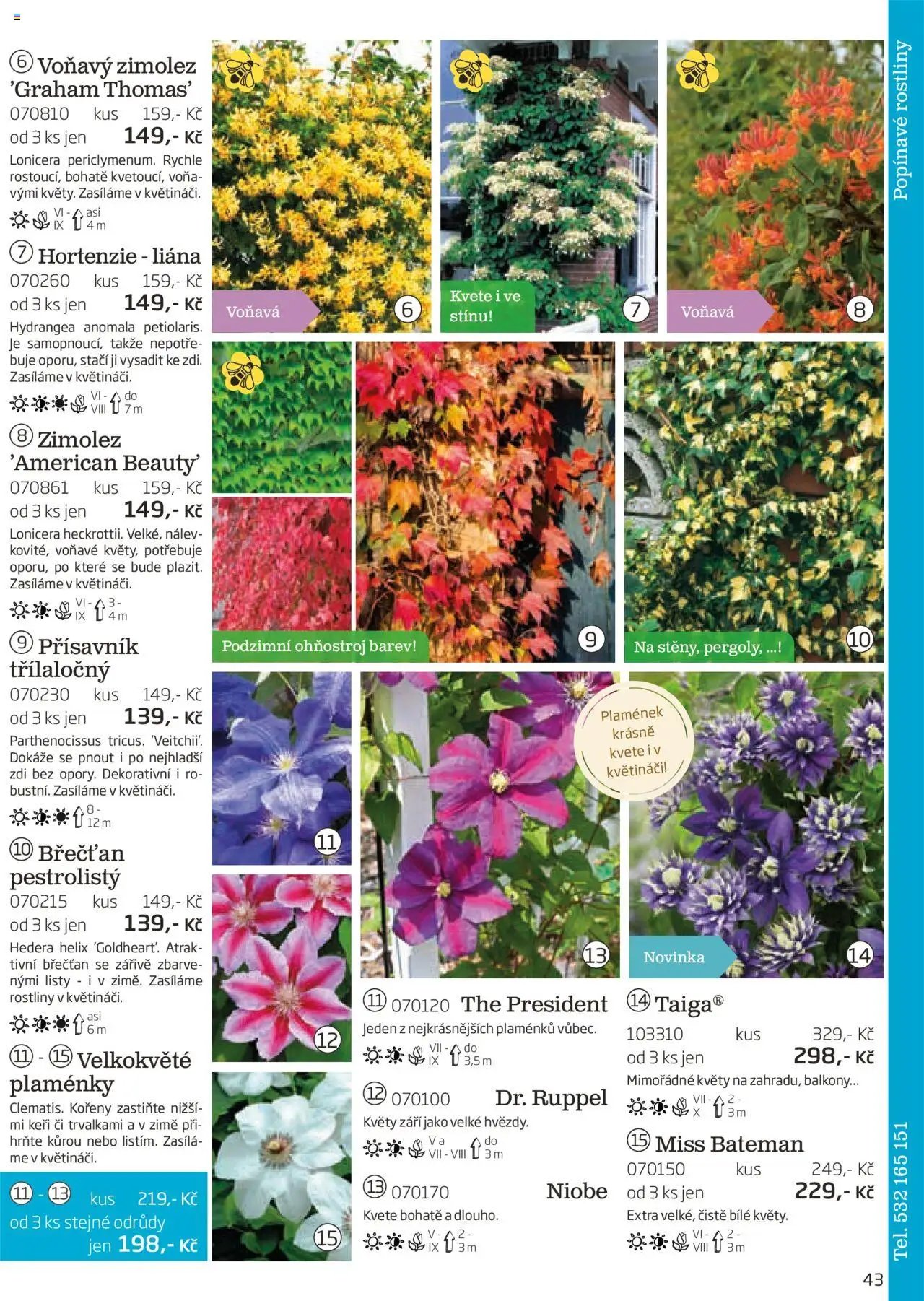 Starkl katalog podzim 2025 (2025-08-01 - 2025-11-30)