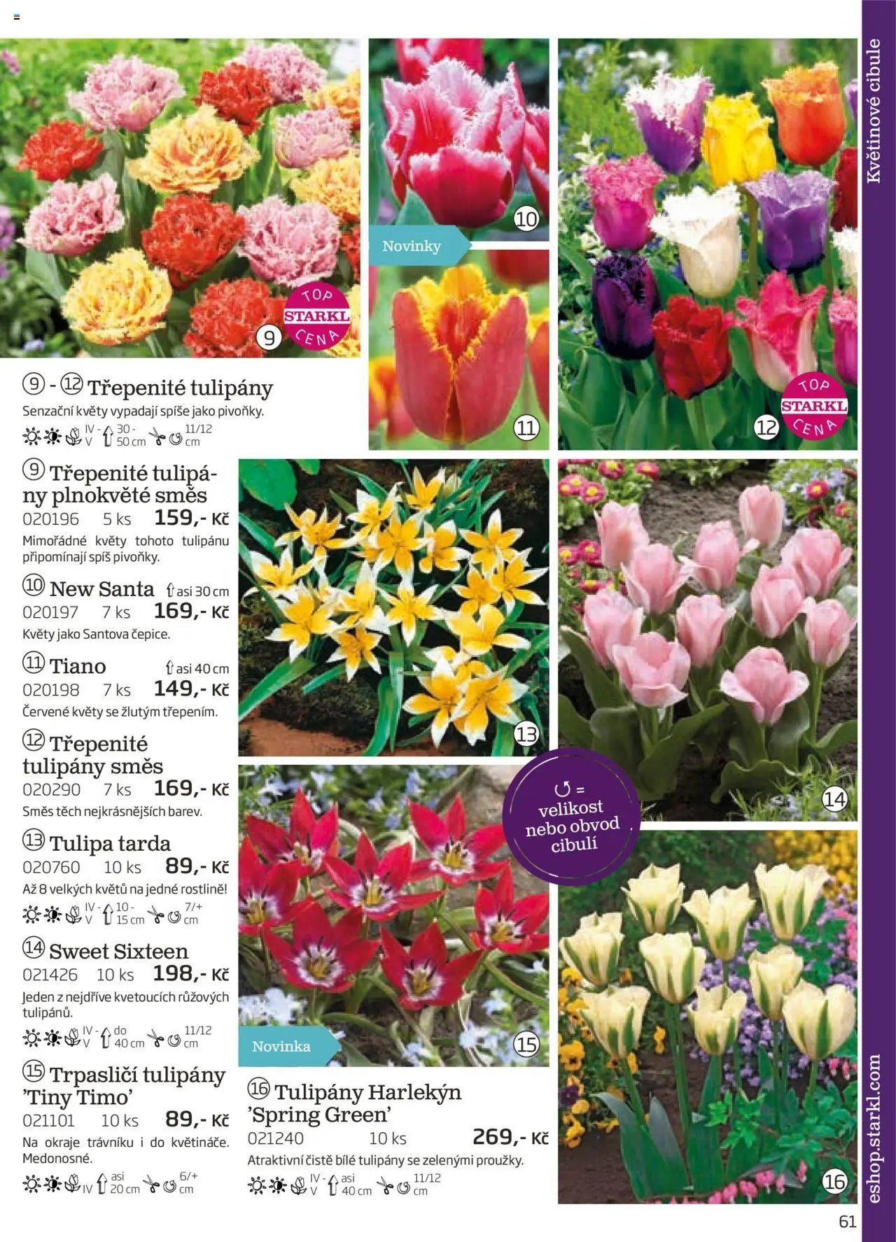 Starkl katalog podzim 2025 (2025-08-01 - 2025-11-30)