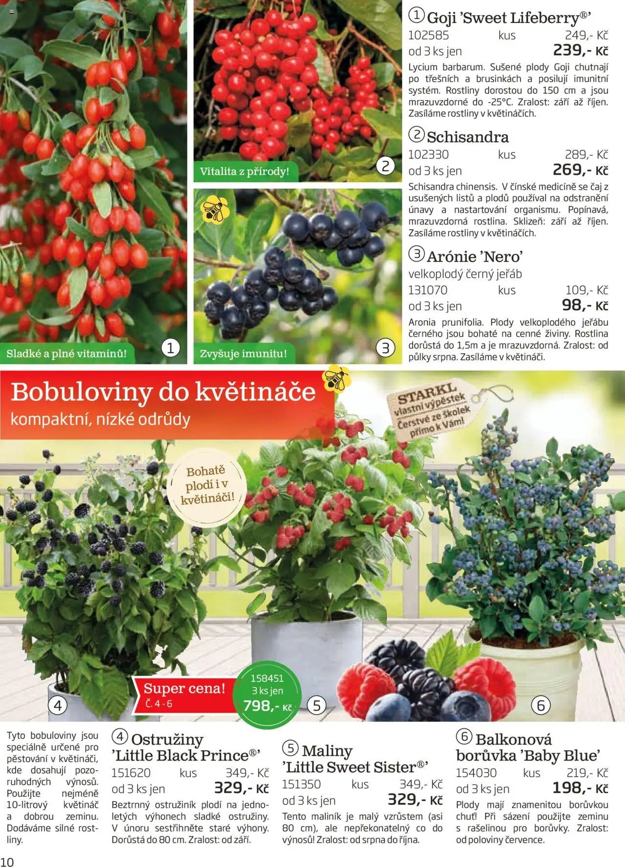 Starkl katalog podzim 2025 (2025-08-01 - 2025-11-30)