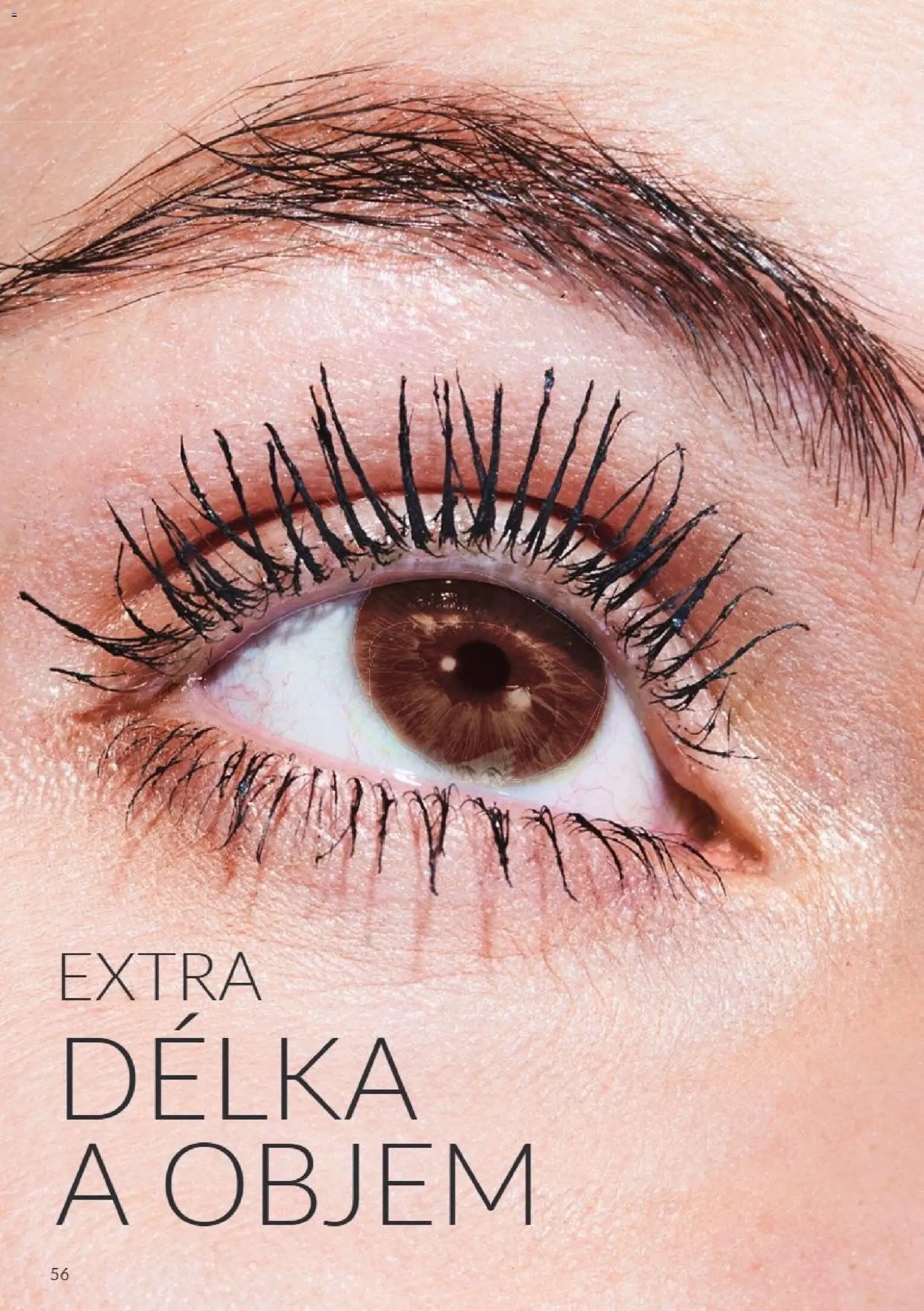 Avon Katalog 11/2026