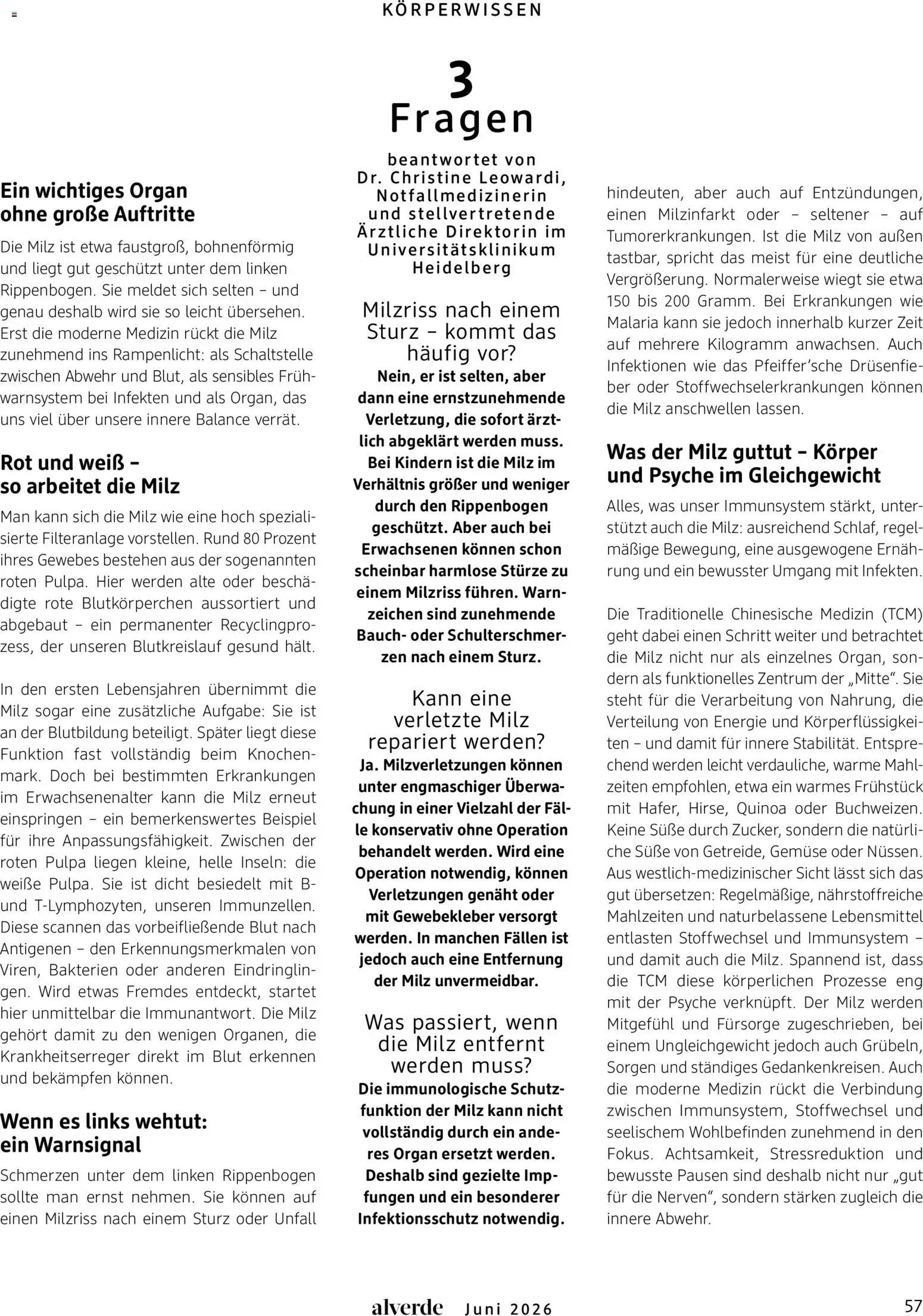 dm drogerie Prospekt