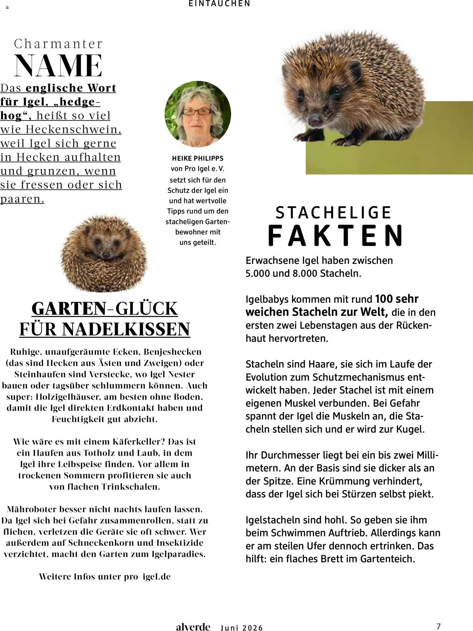 dm drogerie Prospekt