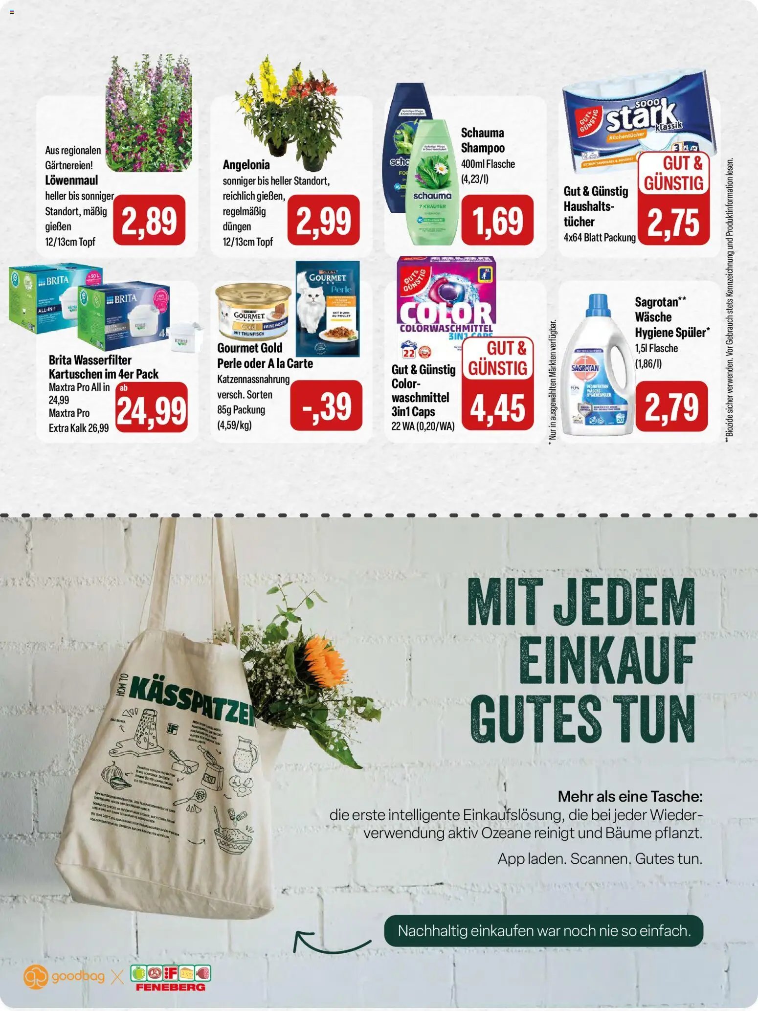 Feneberg Angebote