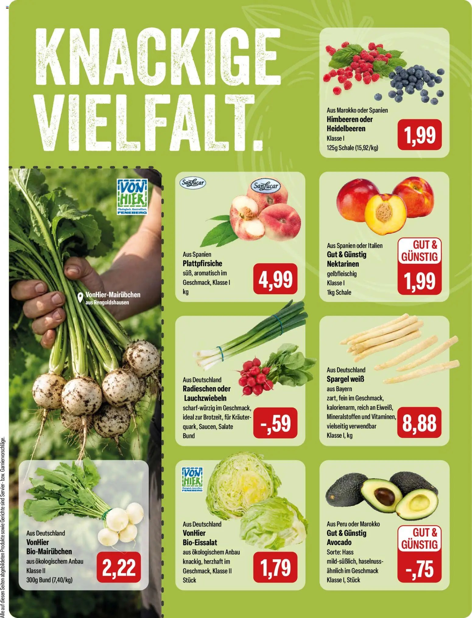Feneberg Angebote
