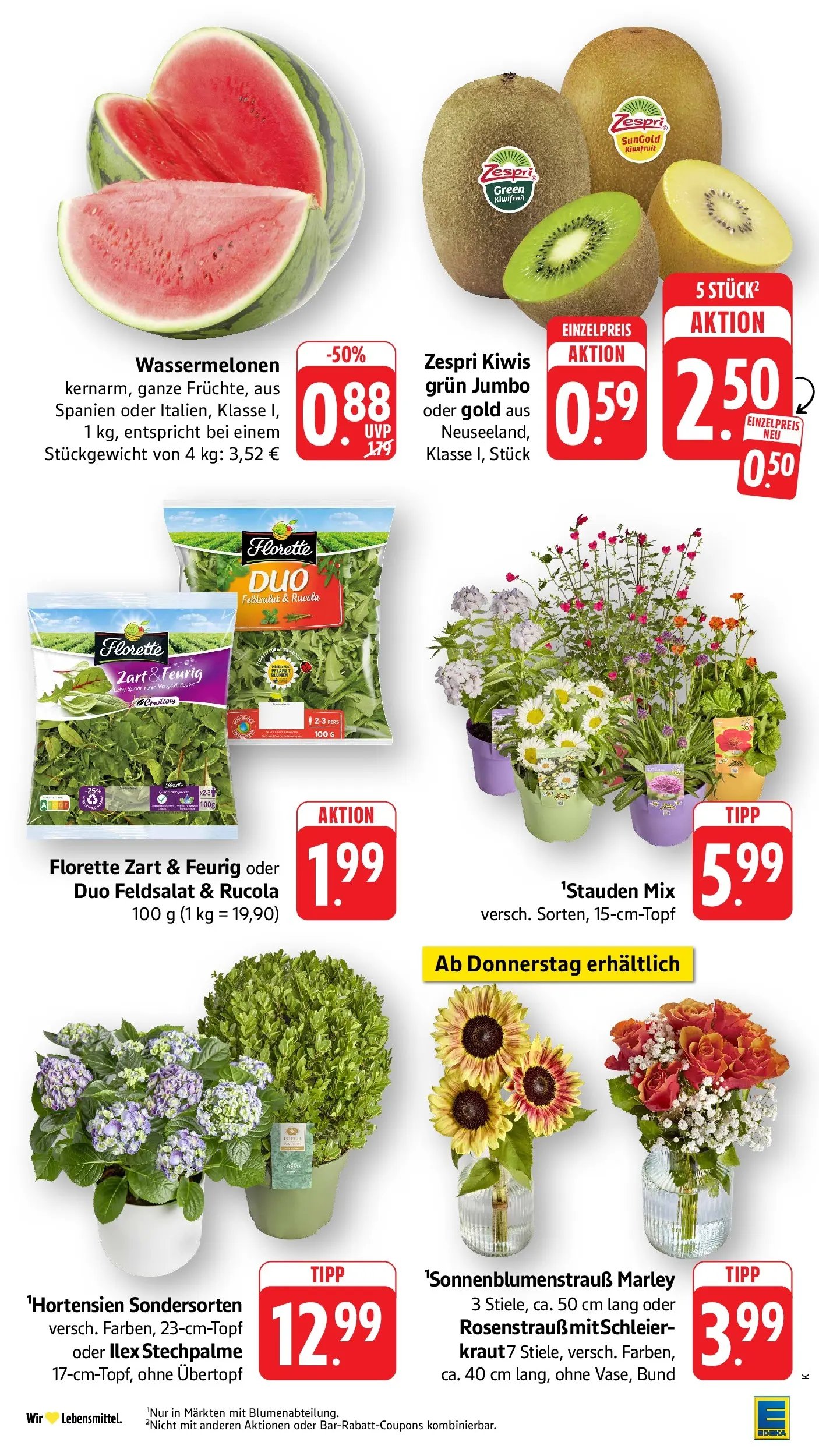 E center Prospekt Kehl