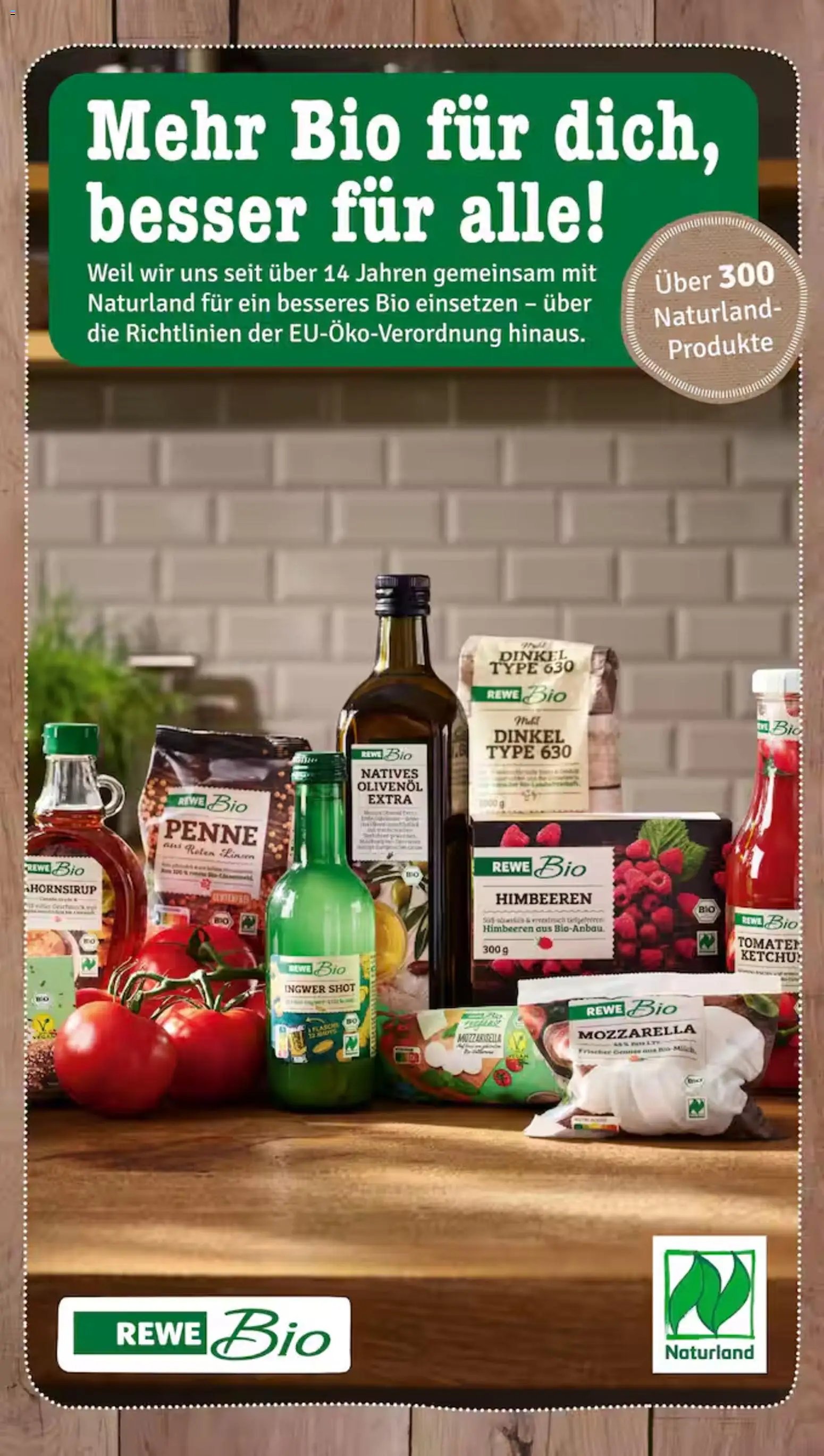 Nahkauf Prospekt