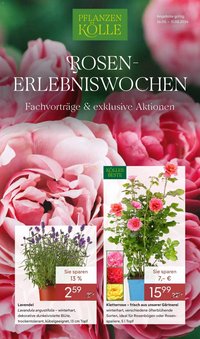 Pflanzen-Kölle Rosenerlebniswochen Borgsdorf