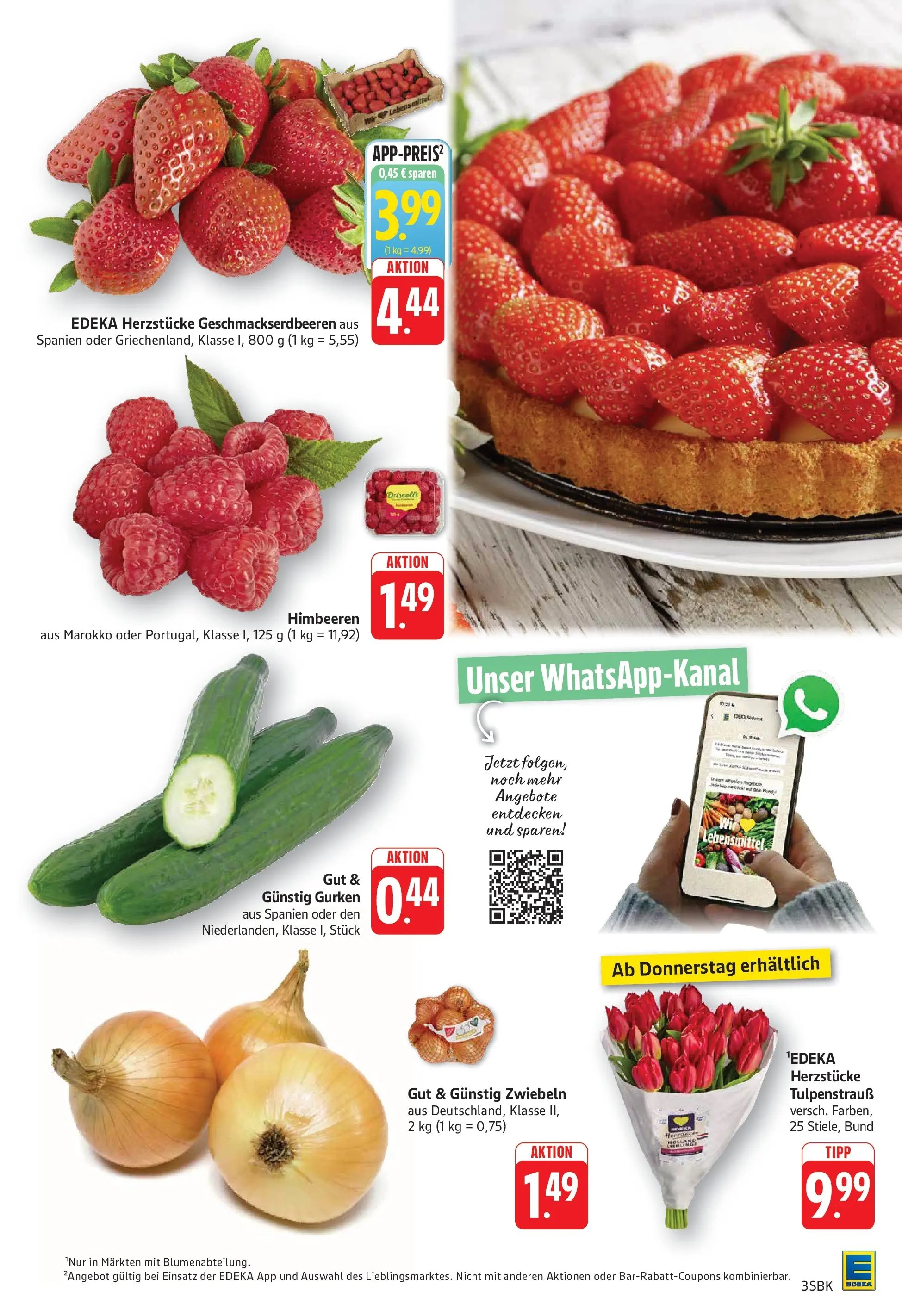 E center Prospekt Bad Bergzabern	