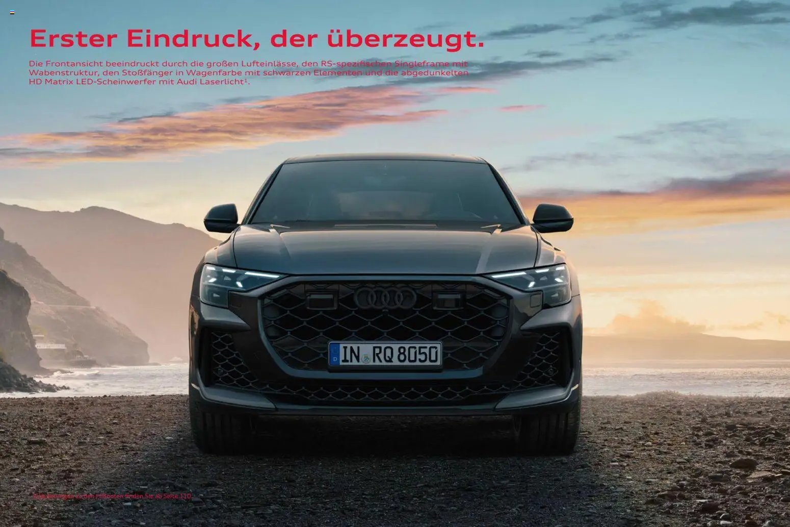 Audi RS Q8 / RS Q8 performance