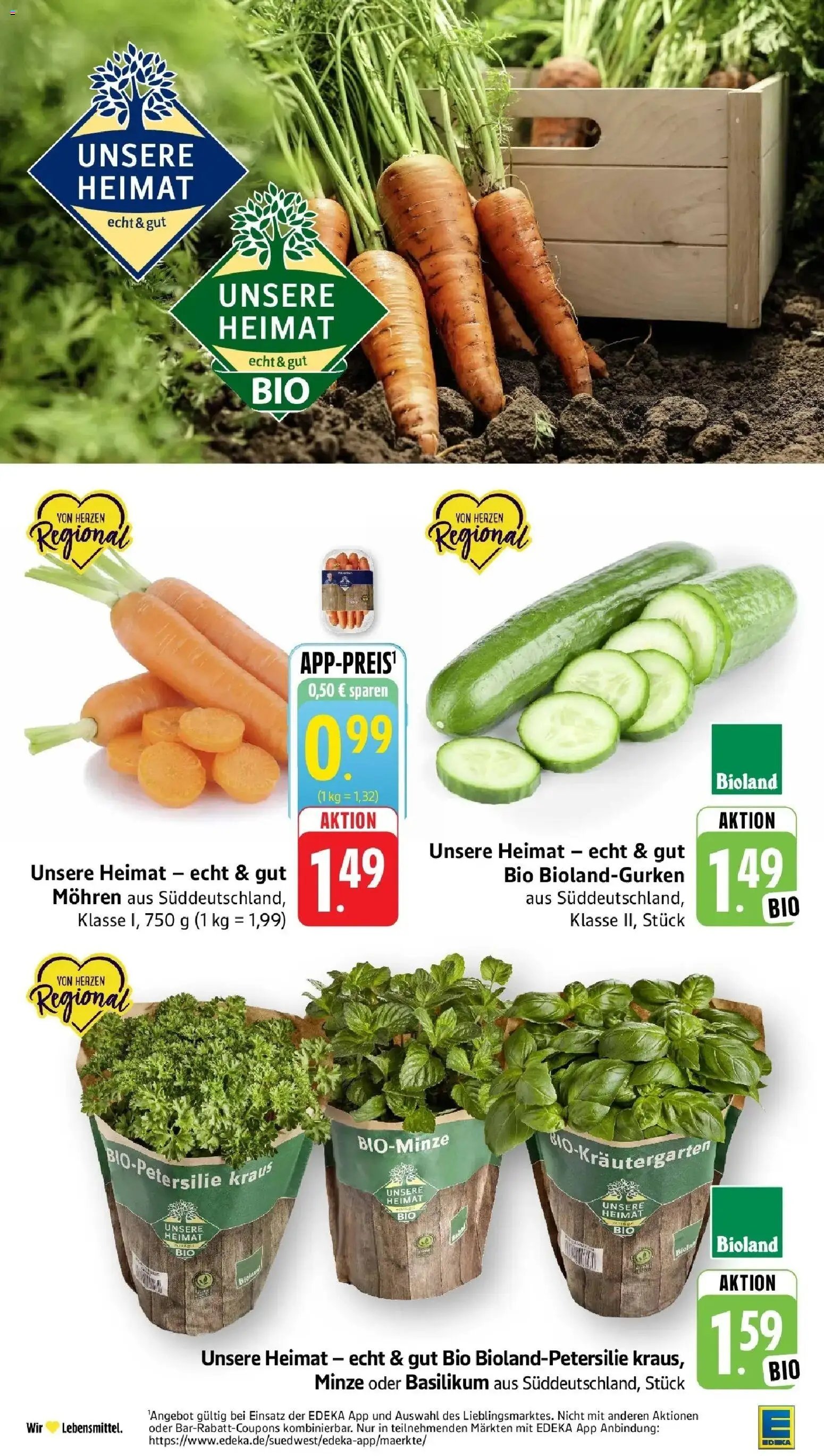 Edeka prospekt Oberstenfeld	