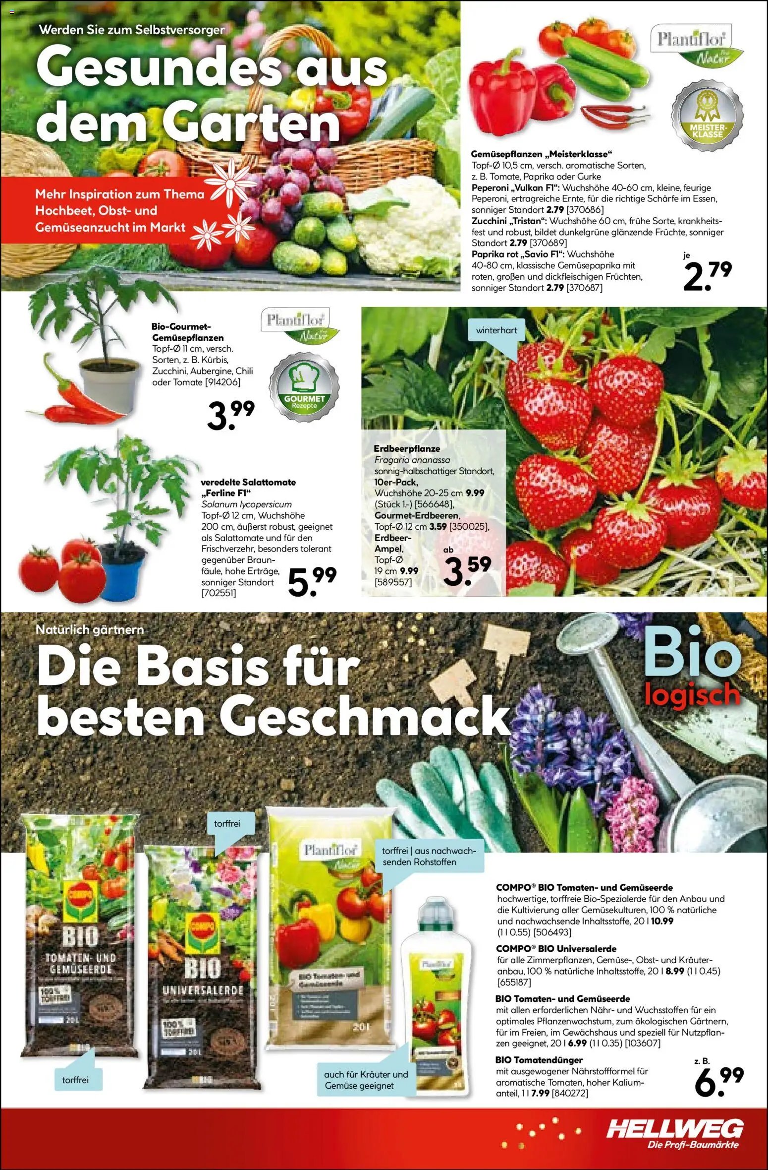 Hellweg Prospekt 	