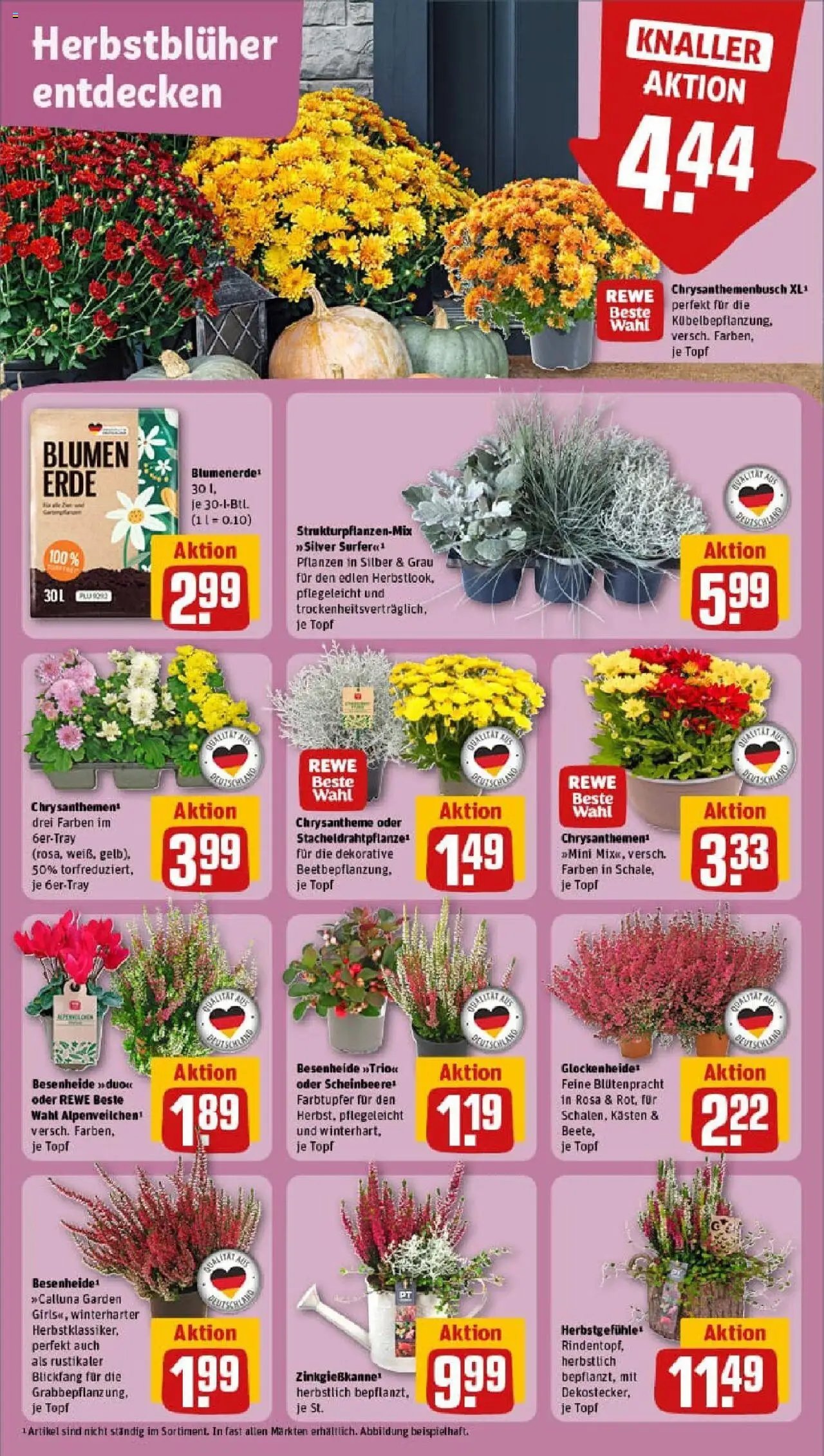 Rewe ihr Kaufpark Prospekt 	 (2025-09-15 - 2025-09-21) | 5