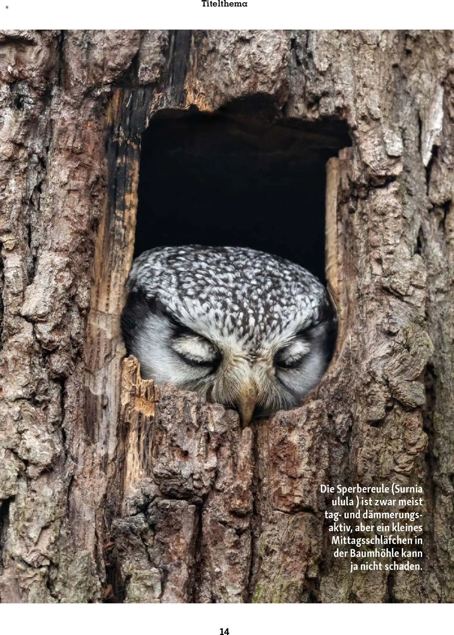 Fressnapf Friends Magazin (2025-11-01 - 2025-12-31)